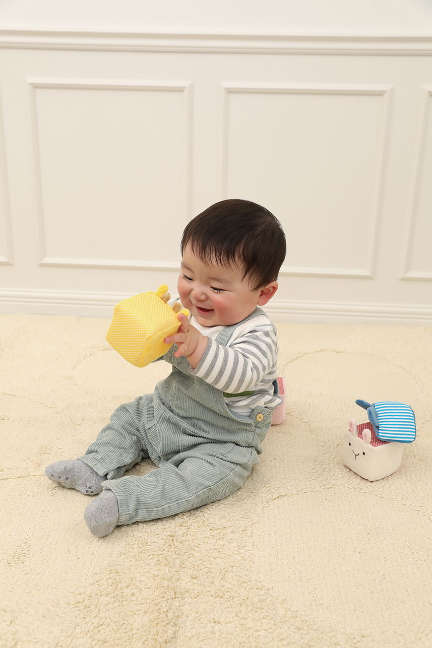 【出産祝い】カタログギフト "Baby"とふわふわアニマルブロックセット