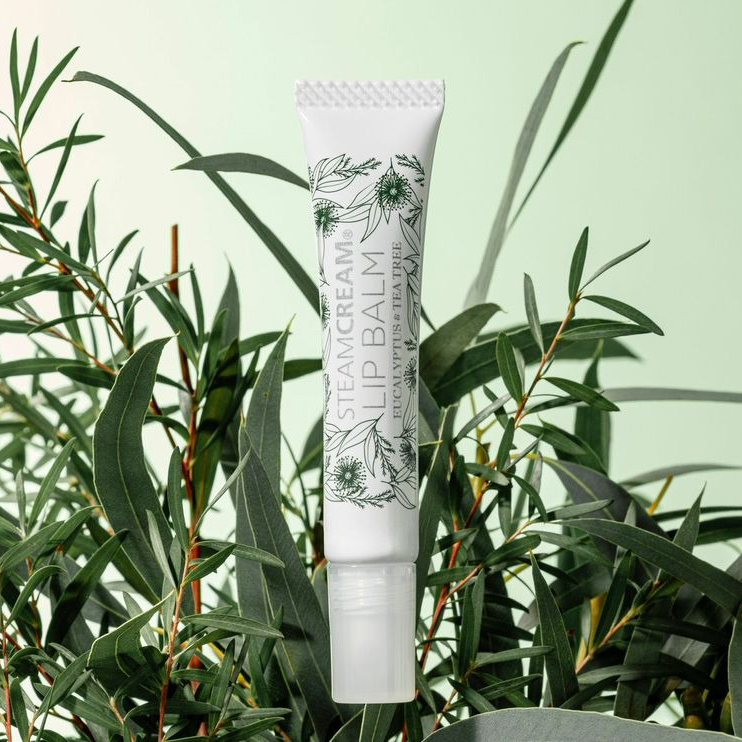 【花粉症のあの人に】スチームクリーム花粉セット