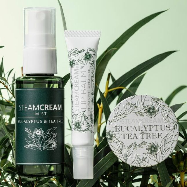 【花粉症のあの人に】スチームクリーム花粉セット