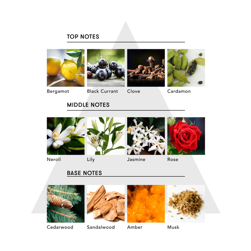 マインドフル ハンドウォッシュ / FREE SPIRIT