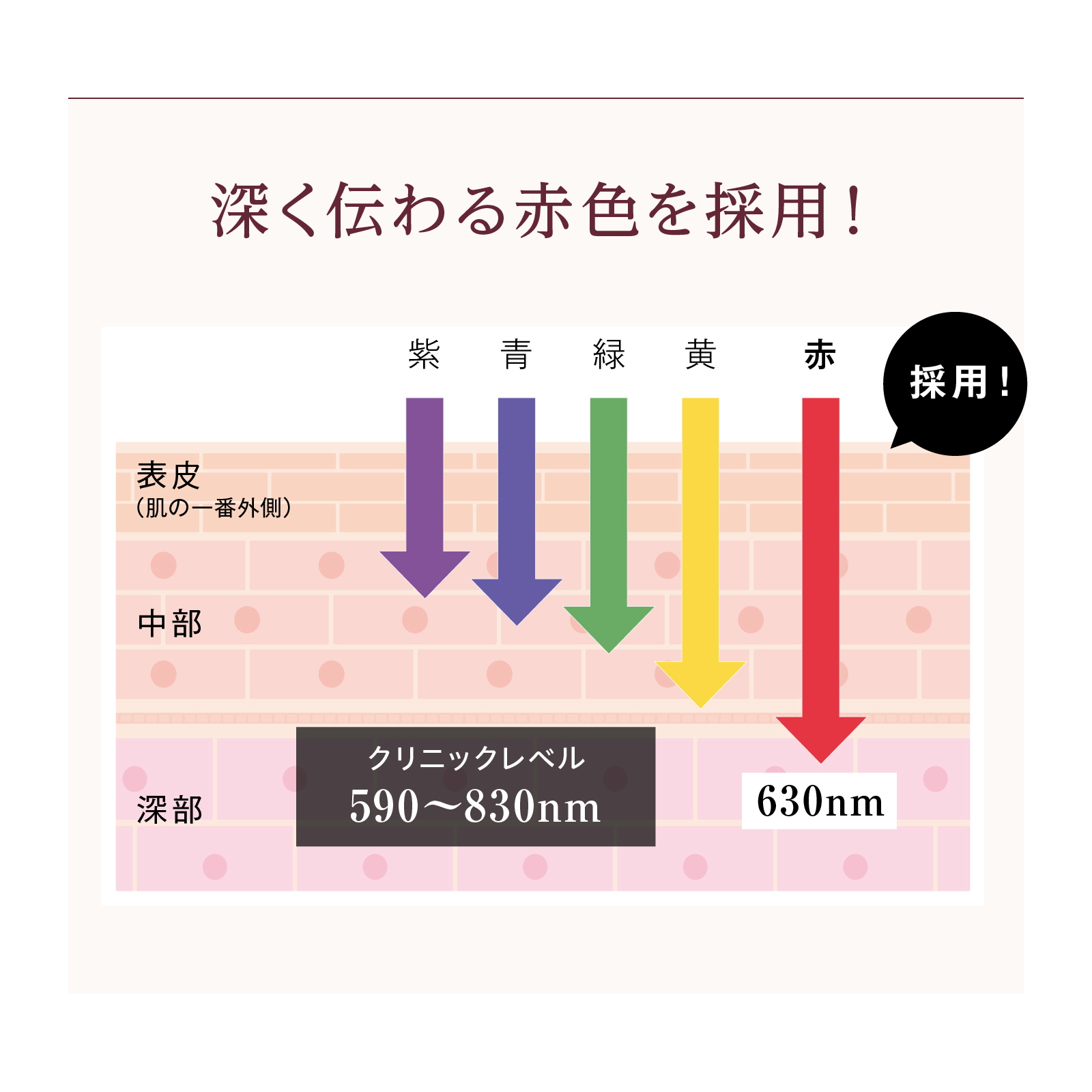 EMS Brush Air 【EMS×クッションブラシ】