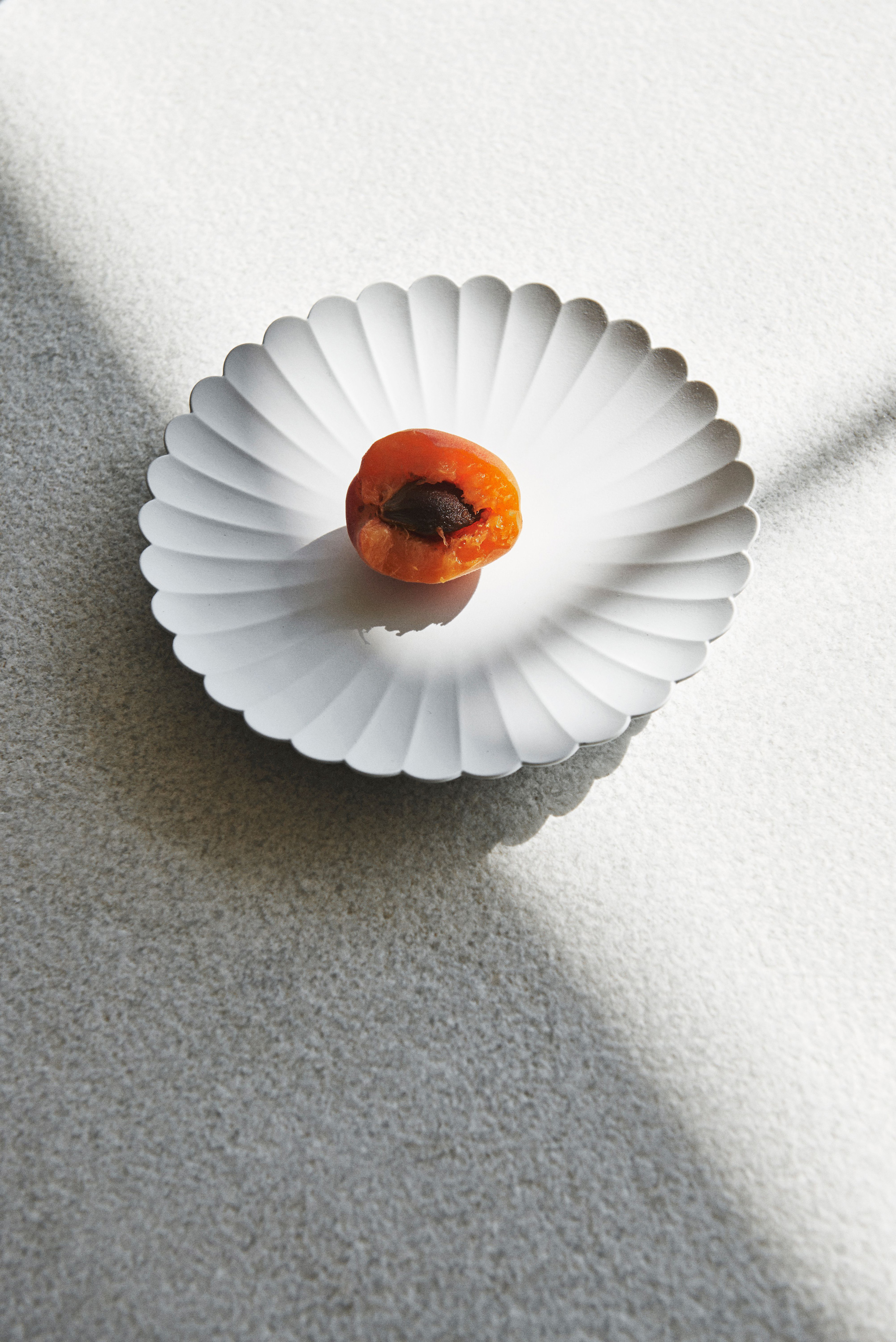 1616/arita japan TYパレス160／220プレートセット