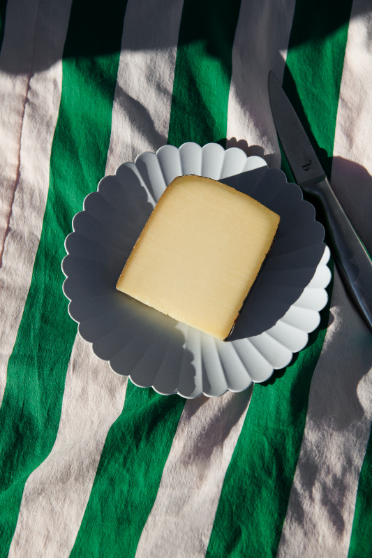 1616/arita japan TYパレス160／220プレートセット