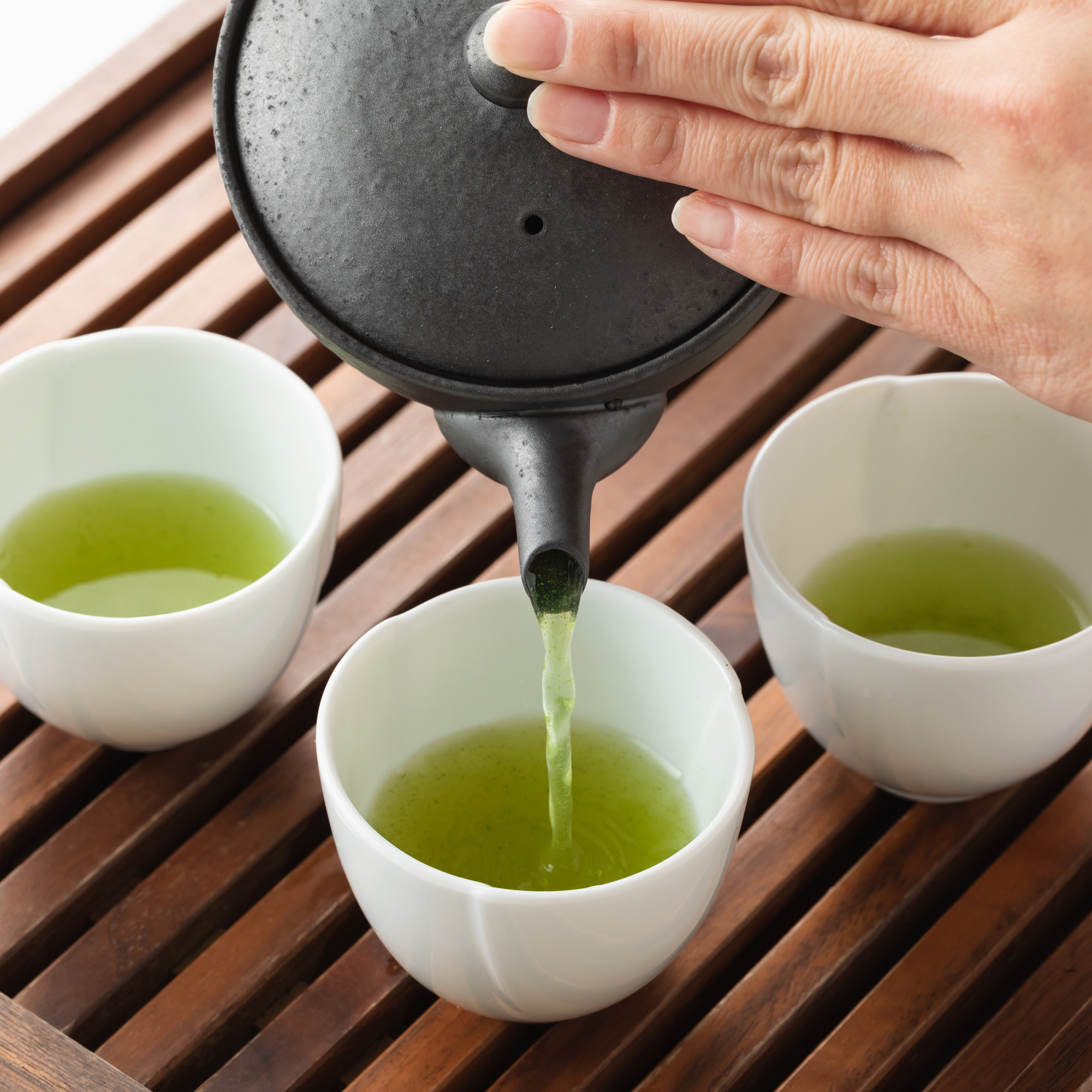 日本茶 茶器揃えセット