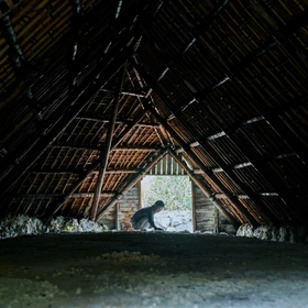 【ボックス付き】選べるウォッシュタオル & 入浴剤セット