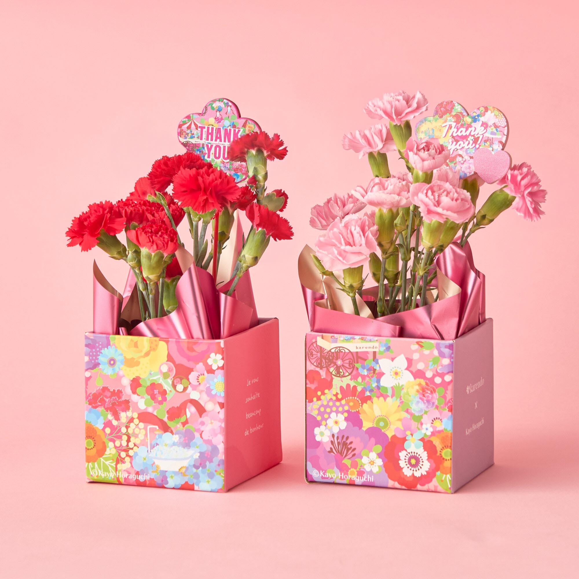 【母の日定番】カーネーション鉢植え 3号《レッド/ピンク》