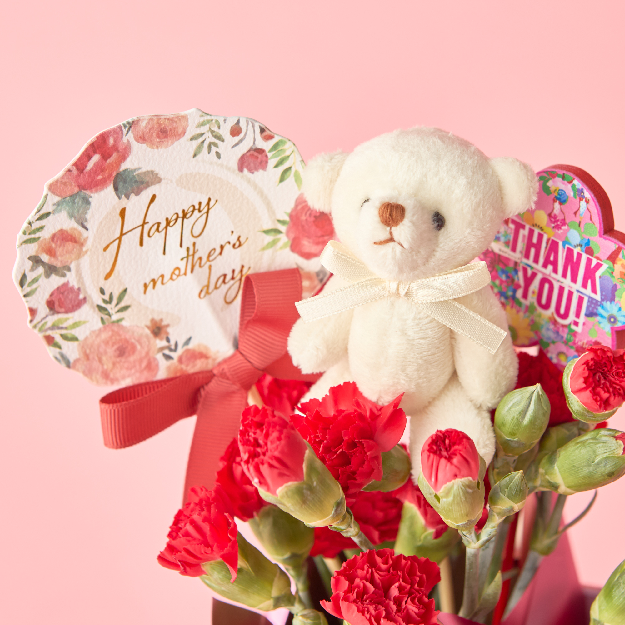 【母の日定番】カーネーション鉢植え 3号《レッド/ピンク》