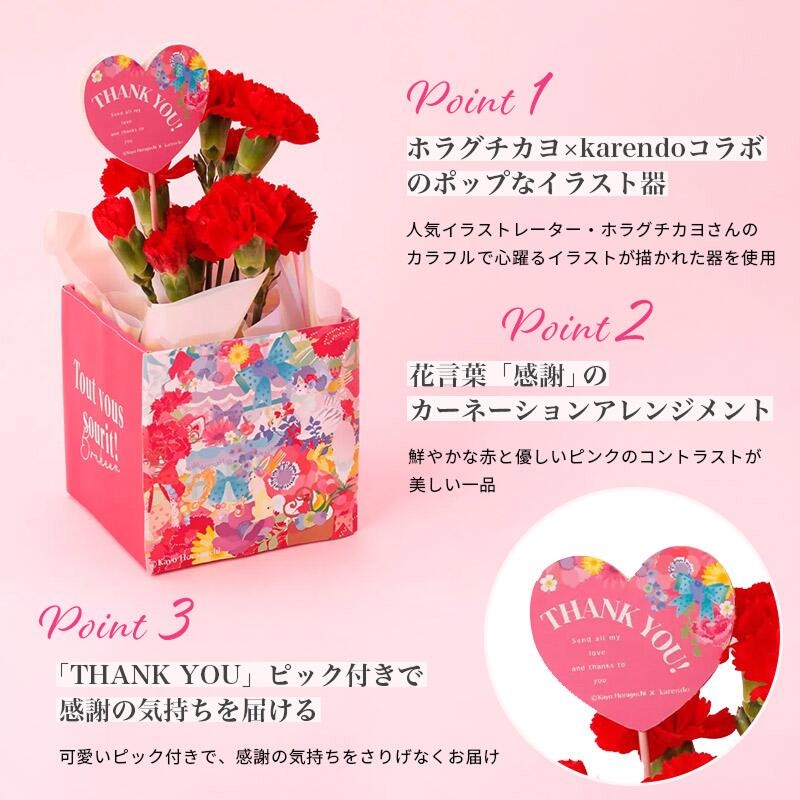 【母の日定番】カーネーション鉢植え 3号《レッド/ピンク》