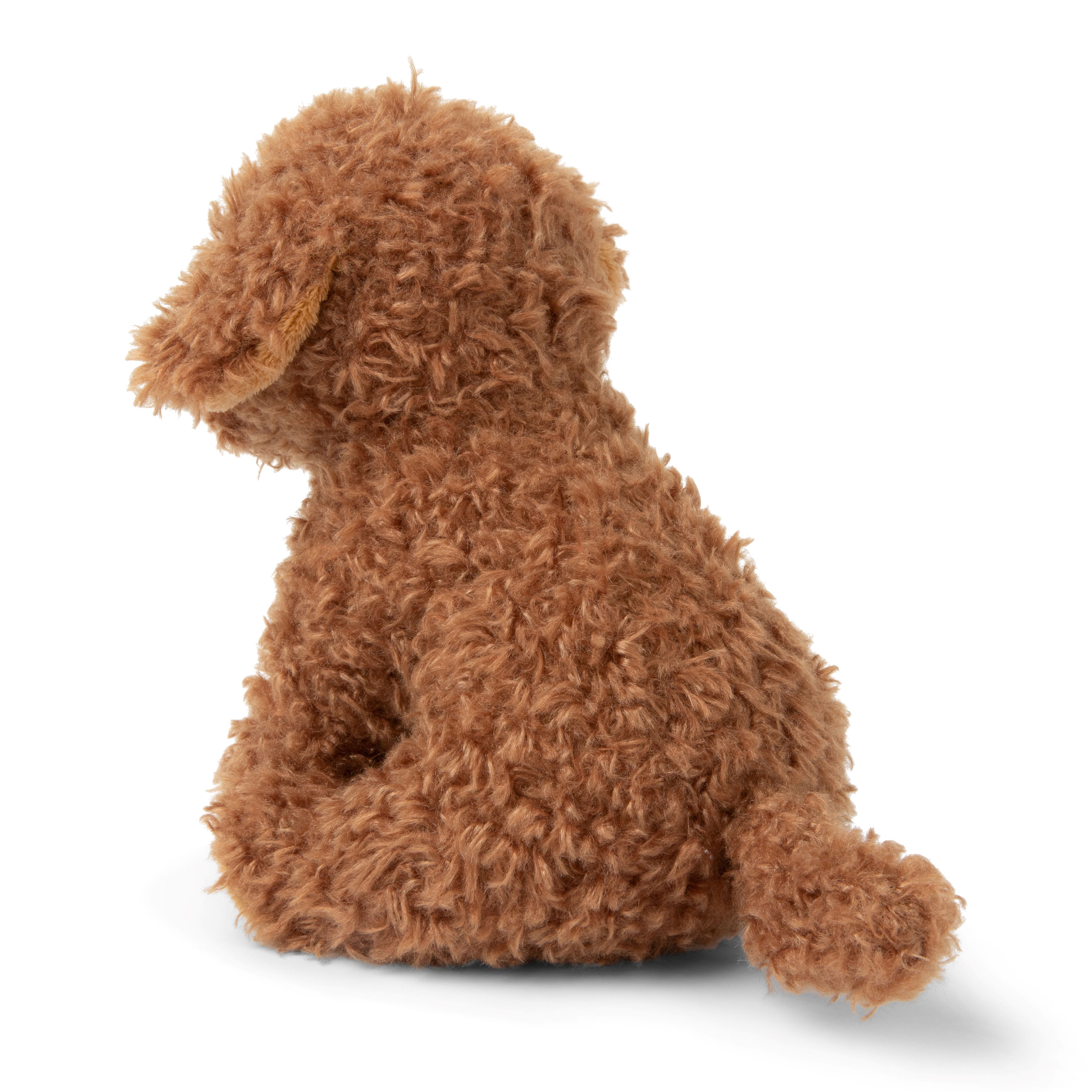 BT CHAPS 17cm in Gift Box