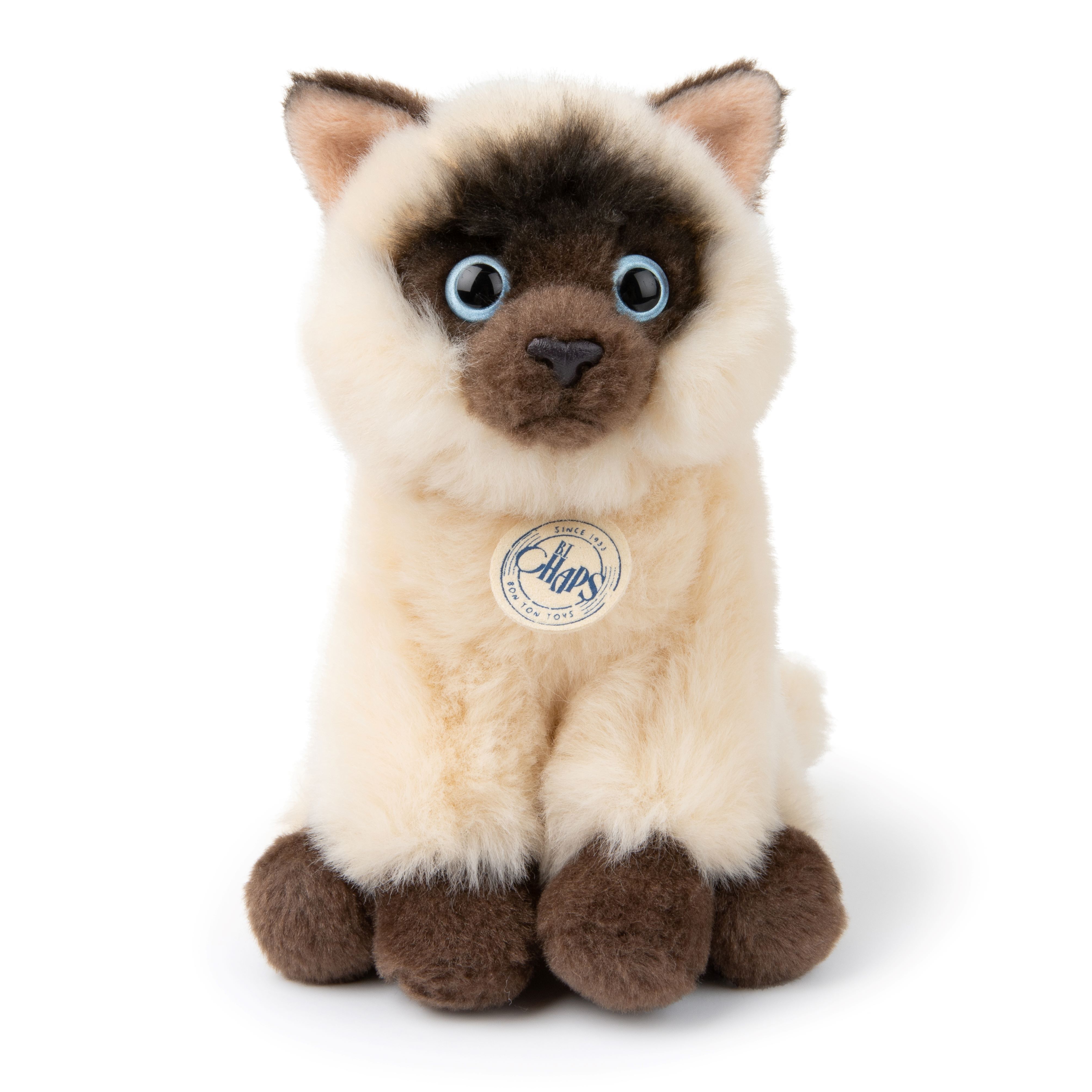 BT CHAPS 17cm in Gift Box