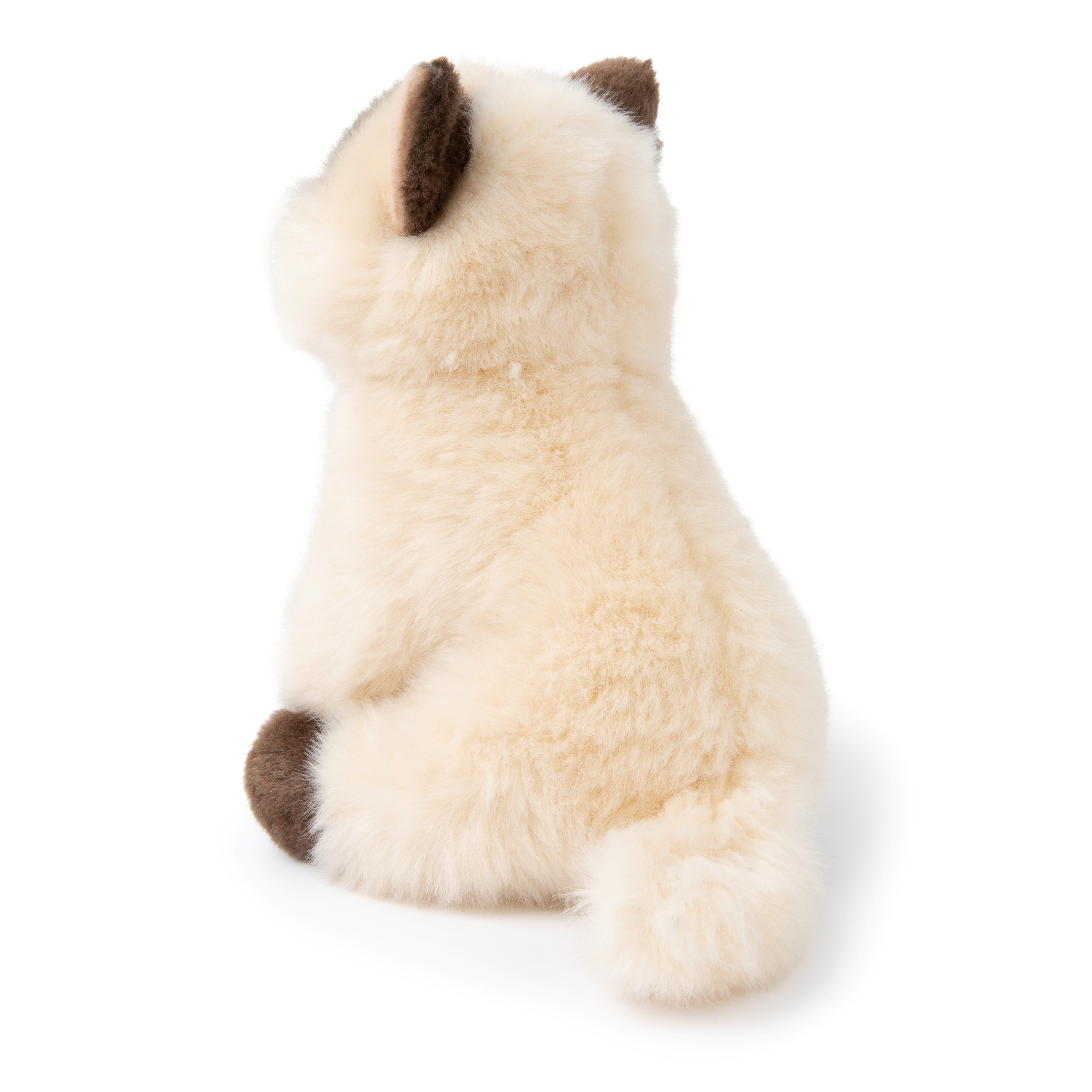 BT CHAPS 17cm in Gift Box