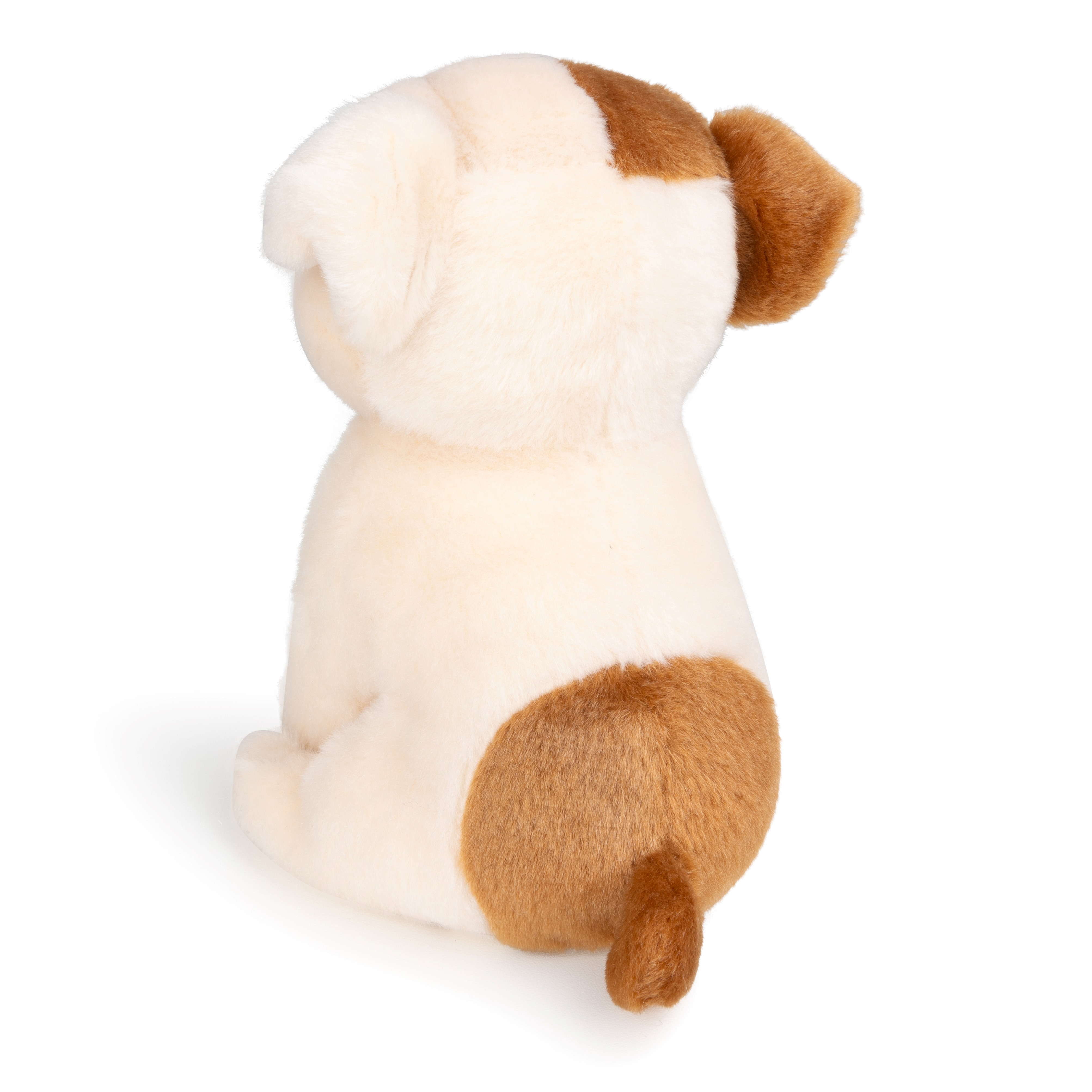 BT CHAPS 17cm in Gift Box
