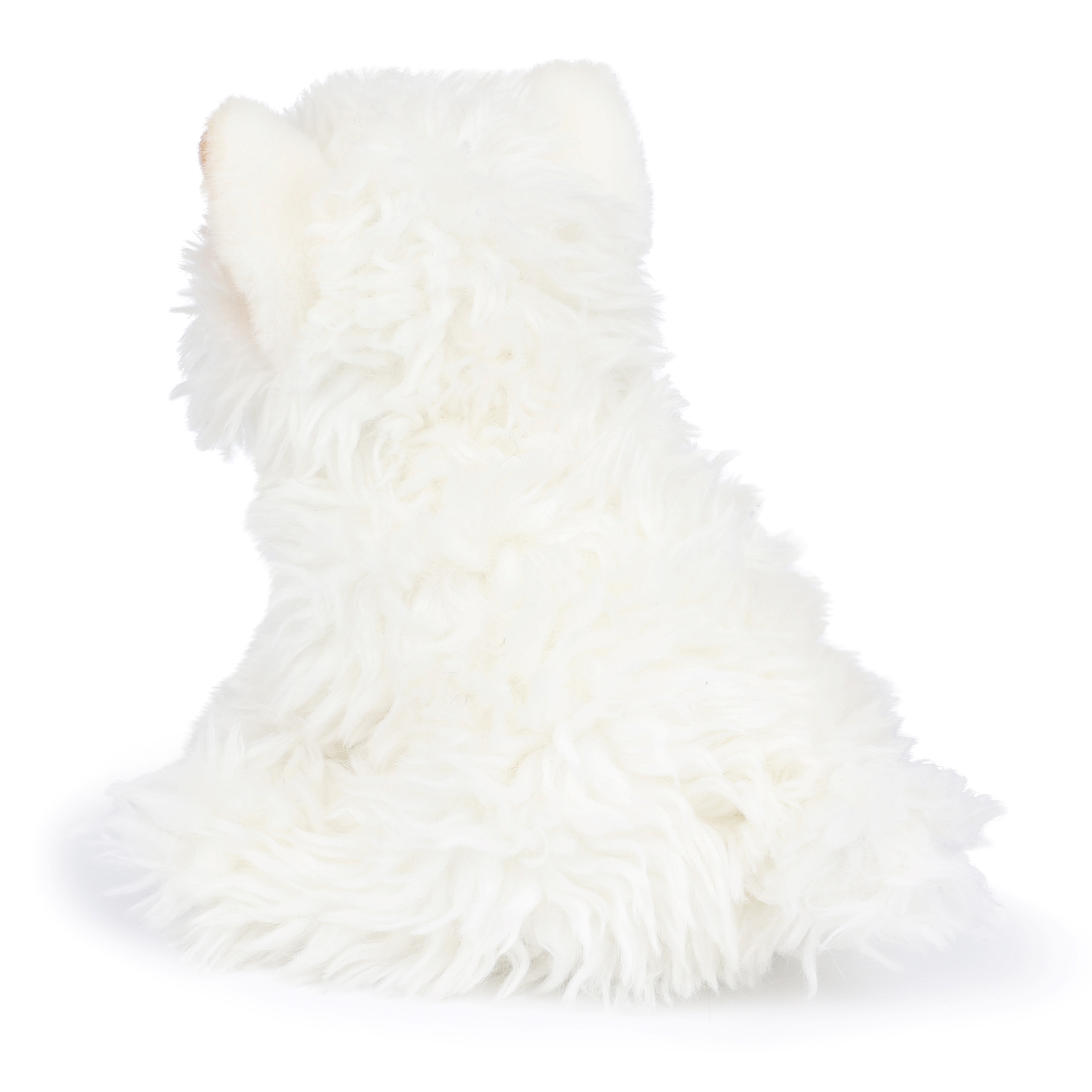 BT CHAPS 17cm in Gift Box