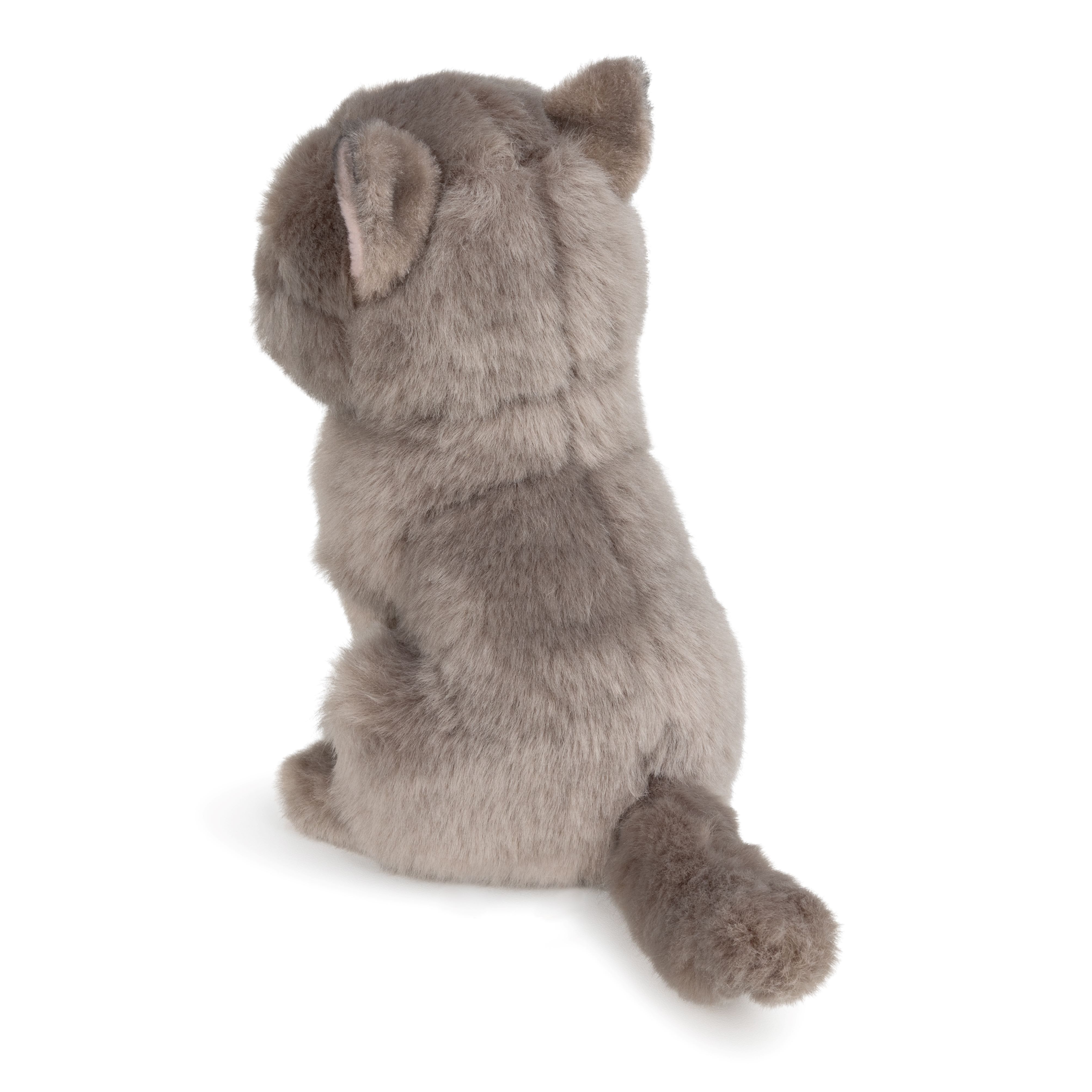 BT CHAPS 17cm in Gift Box