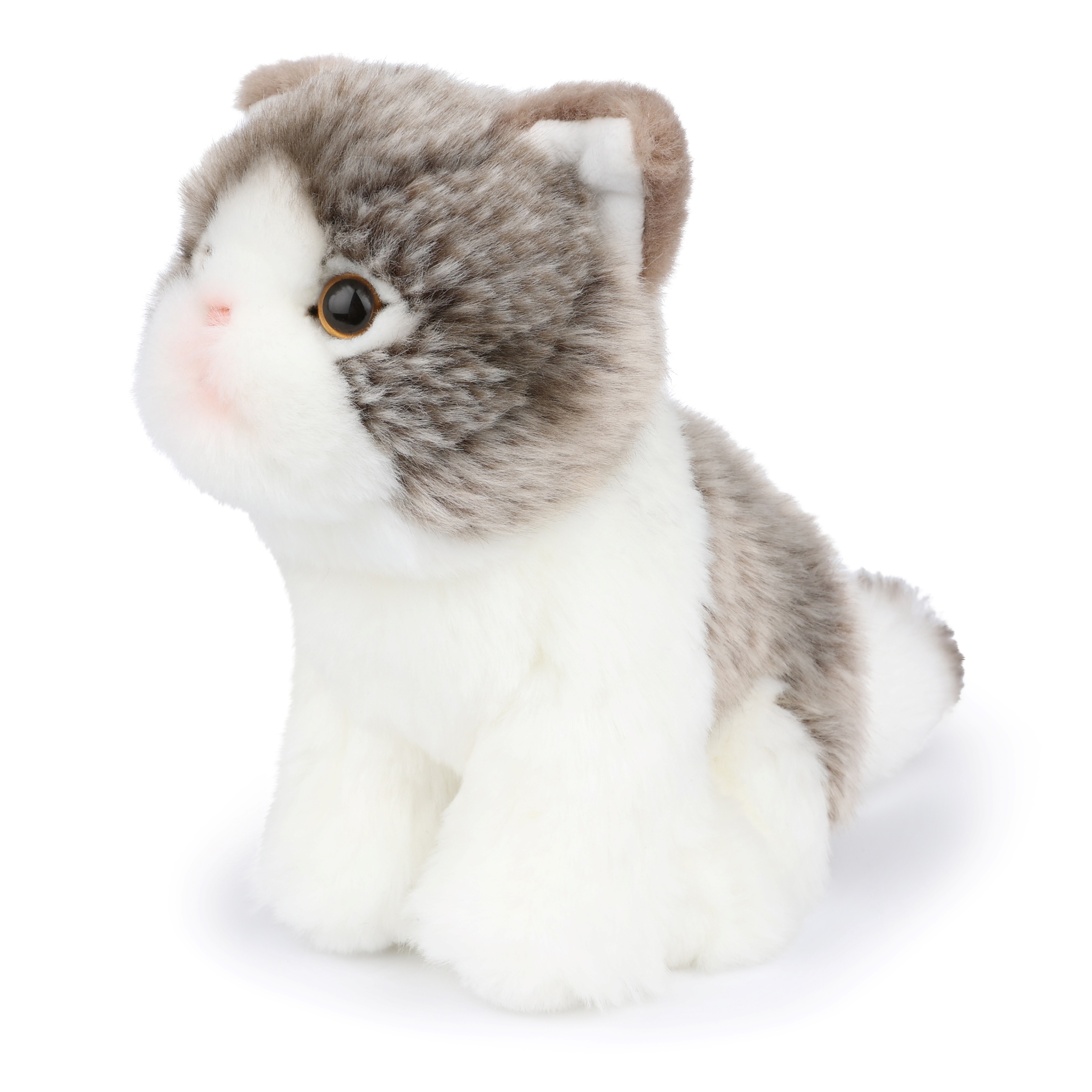 BT CHAPS 17cm in Gift Box