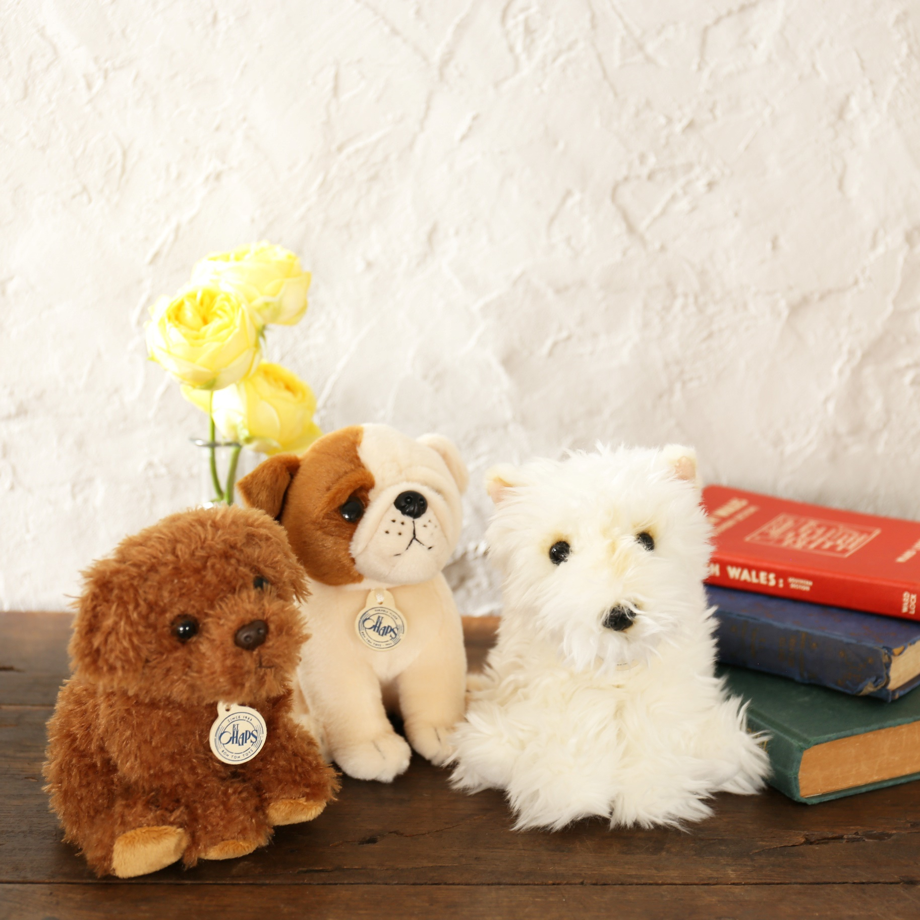 BT CHAPS 17cm in Gift Box