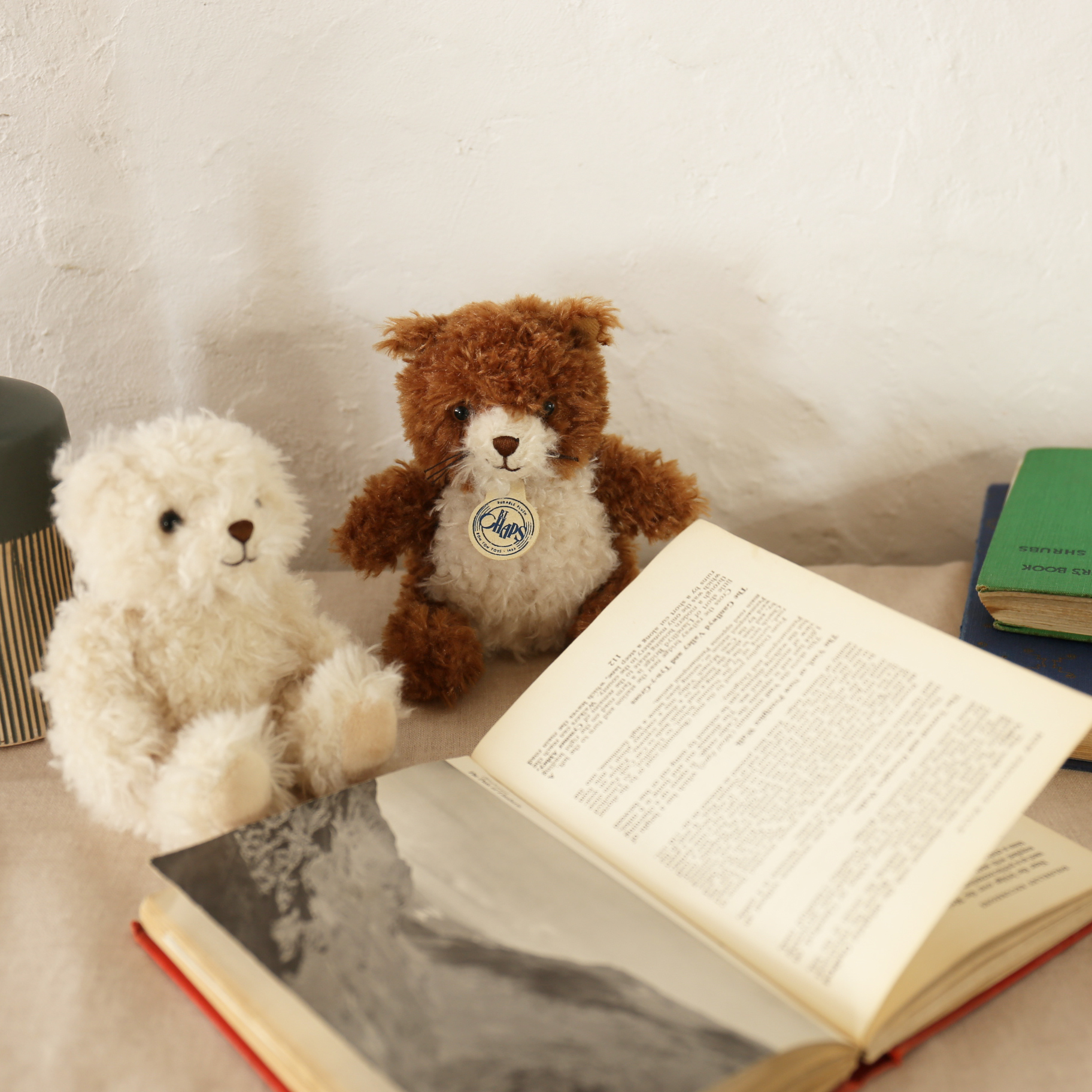 BT CHAPS 12cm in Gift Box