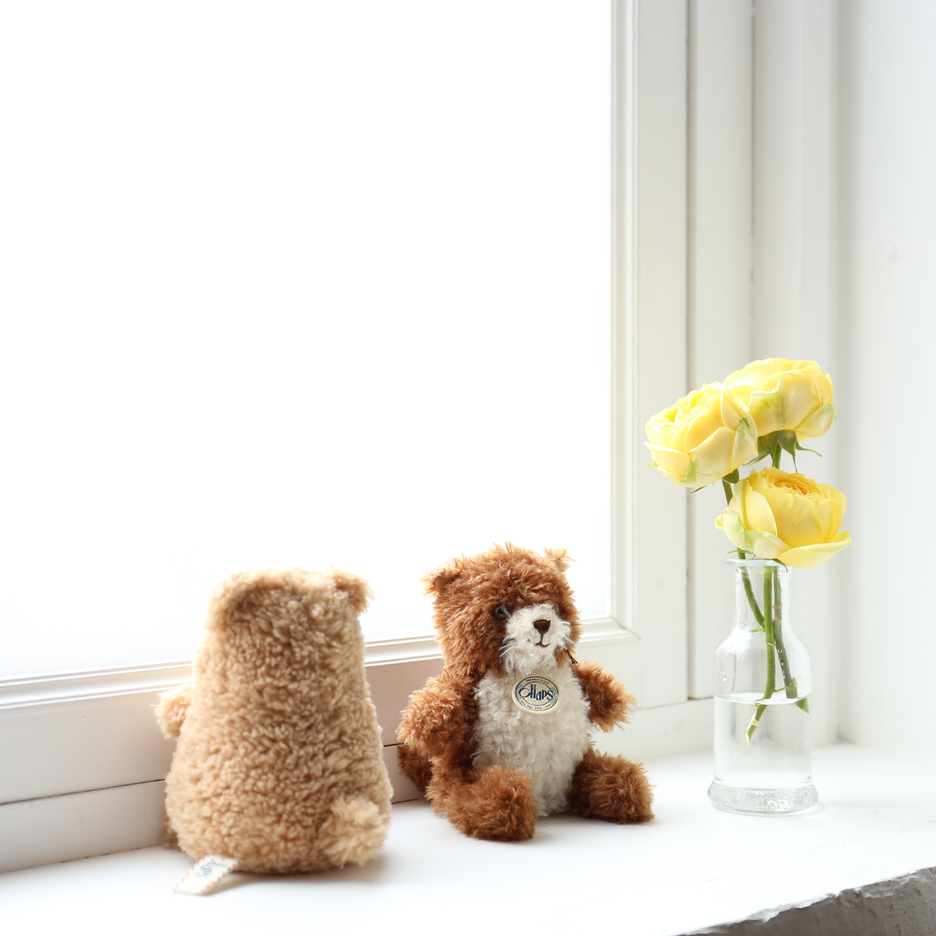 BT CHAPS 12cm in Gift Box