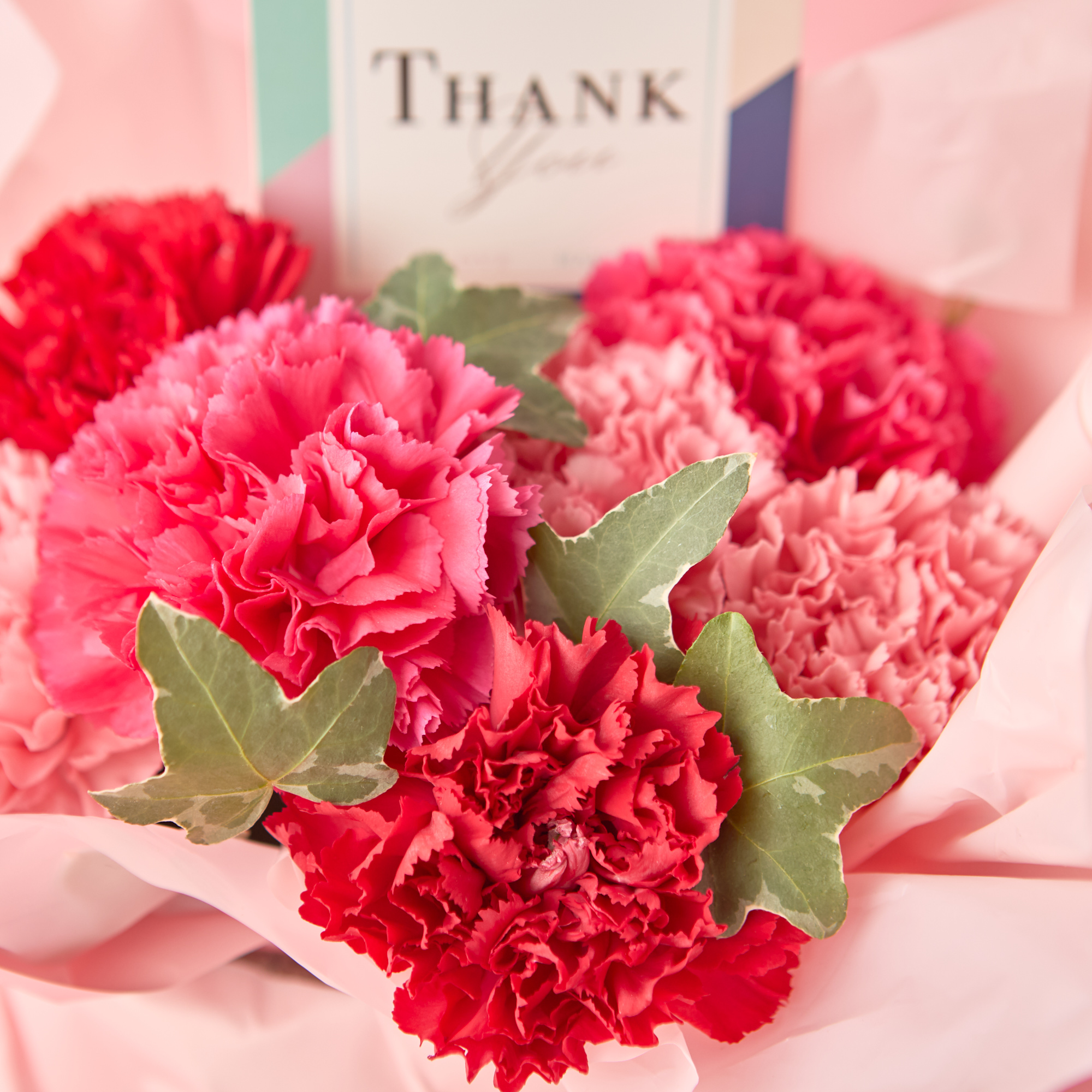 【母の日限定】カーネーション サンクスマム《ピンク/オレンジ》