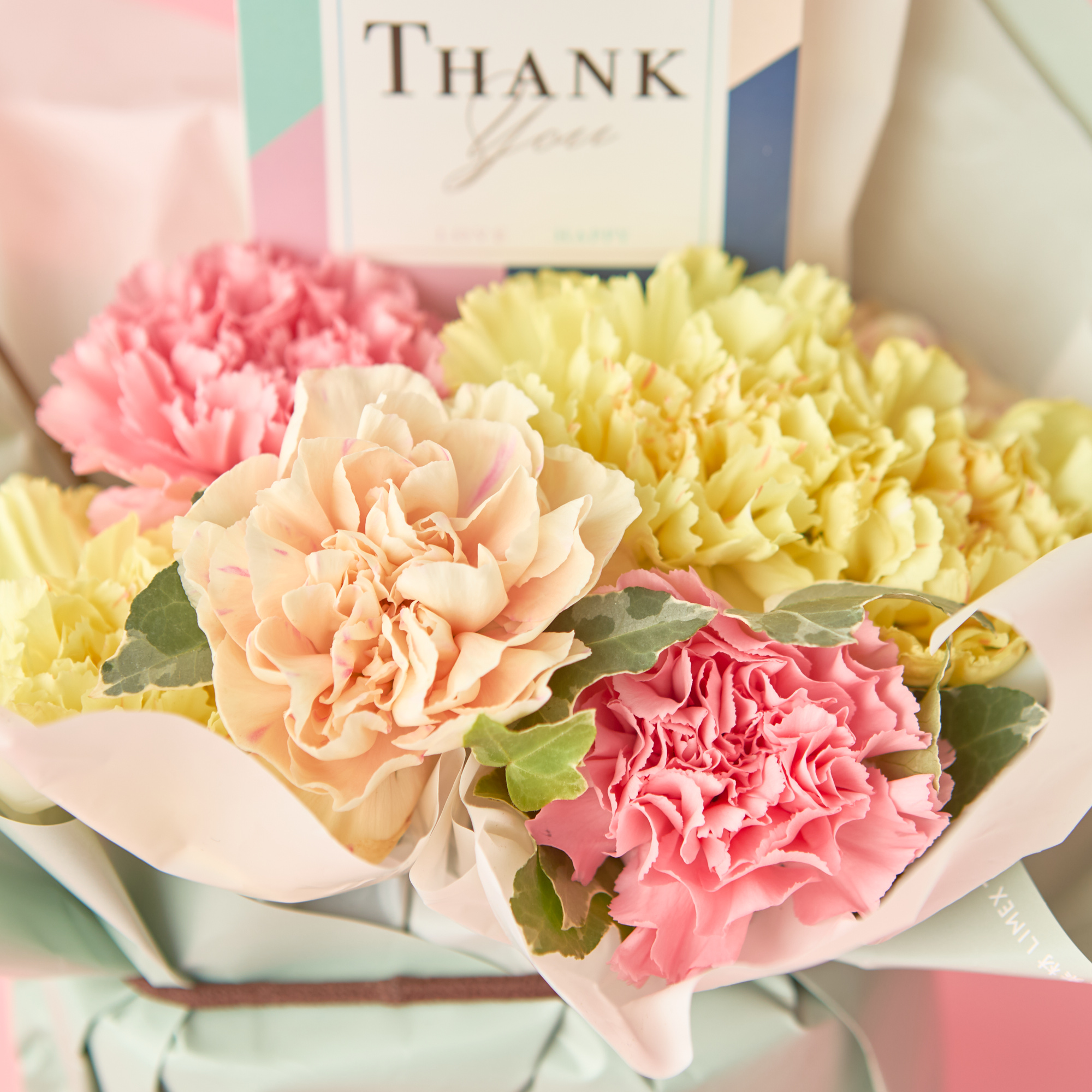 【母の日限定】カーネーション サンクスマム《ピンク/オレンジ》