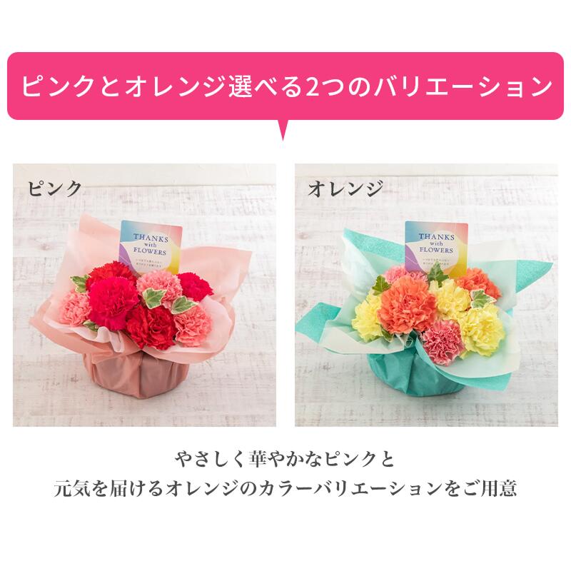 【母の日限定】カーネーション サンクスマム《ピンク/オレンジ》