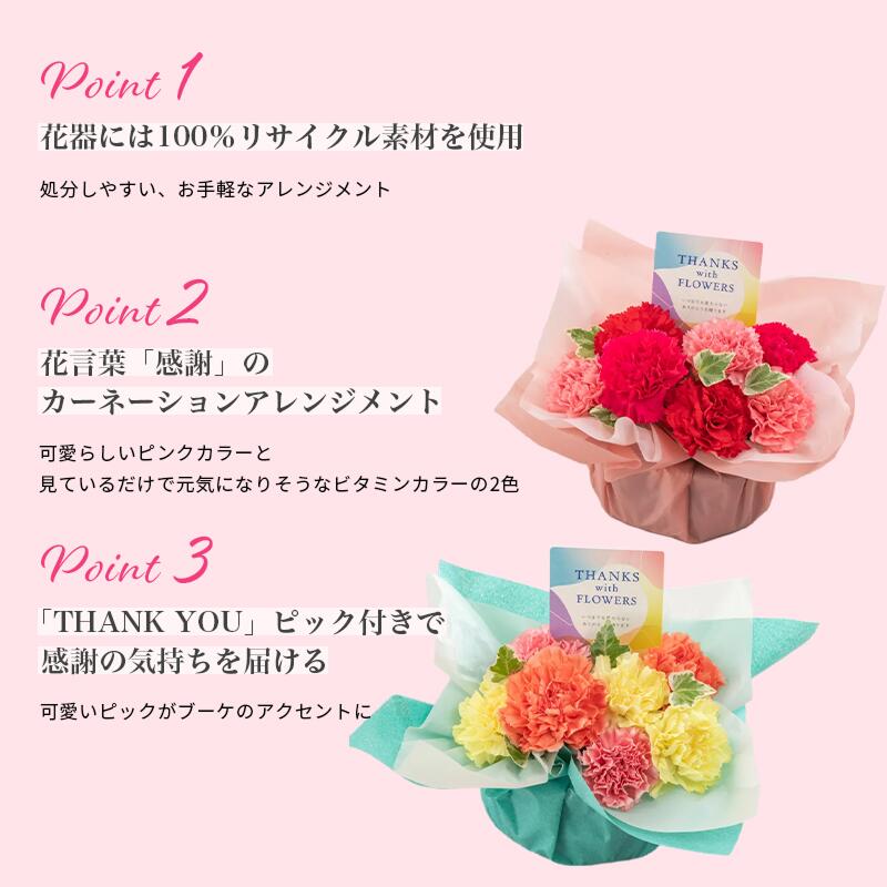 【母の日限定】カーネーション サンクスマム《ピンク/オレンジ》