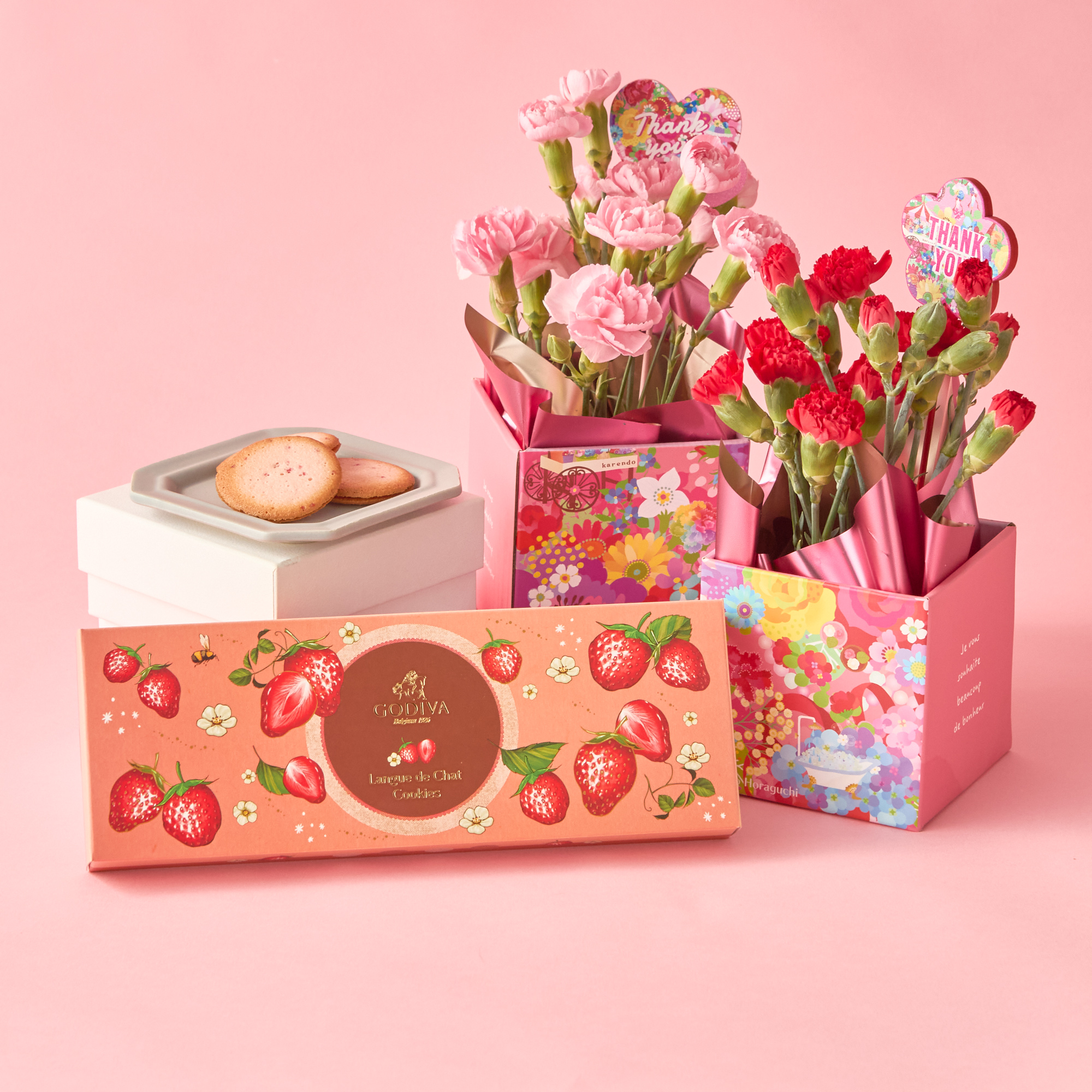 【母の日限定】選べるカーネーション鉢とGODIVA苺クッキーセット
