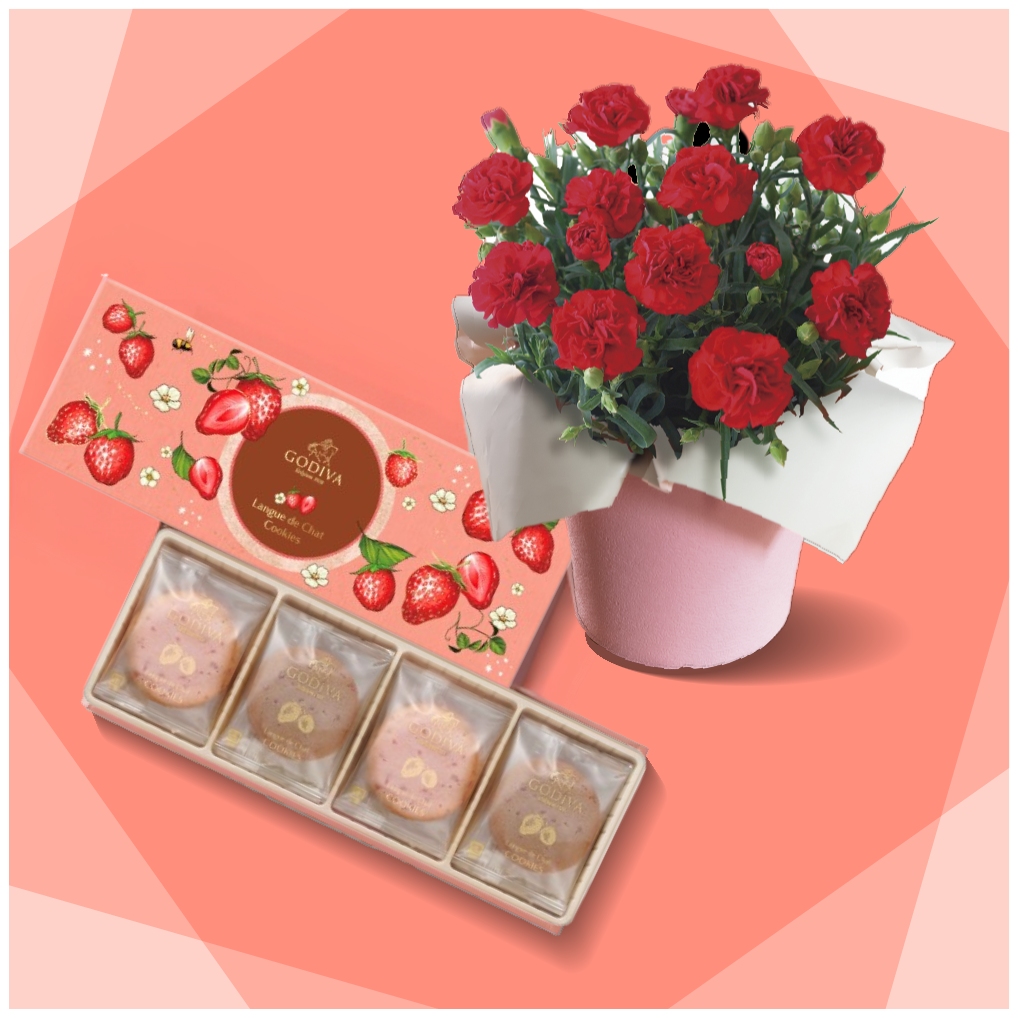 【母の日限定カーネーション/日比谷花壇】定番カーネーション鉢とGODIVA苺クッキーセット