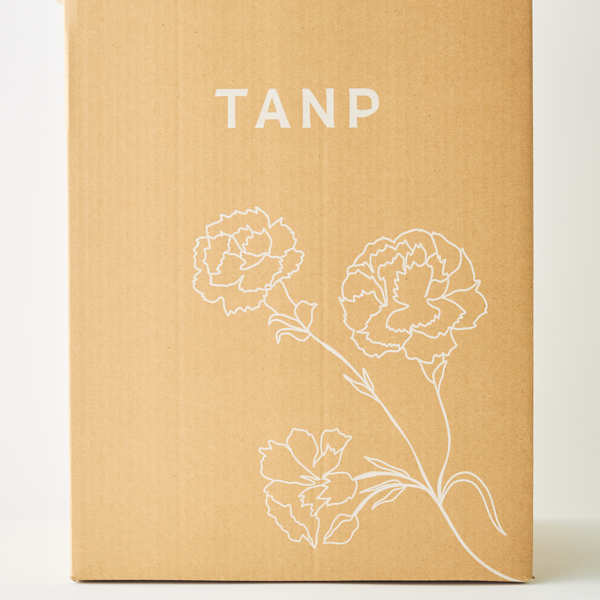 【母の日限定カーネーション/日比谷花壇】さくらもなか鉢とGODIVA苺クッキーセット