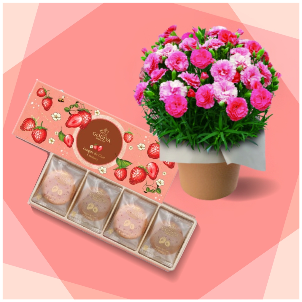 【母の日限定カーネーション/日比谷花壇】さくらもなか鉢とGODIVA苺クッキーセット