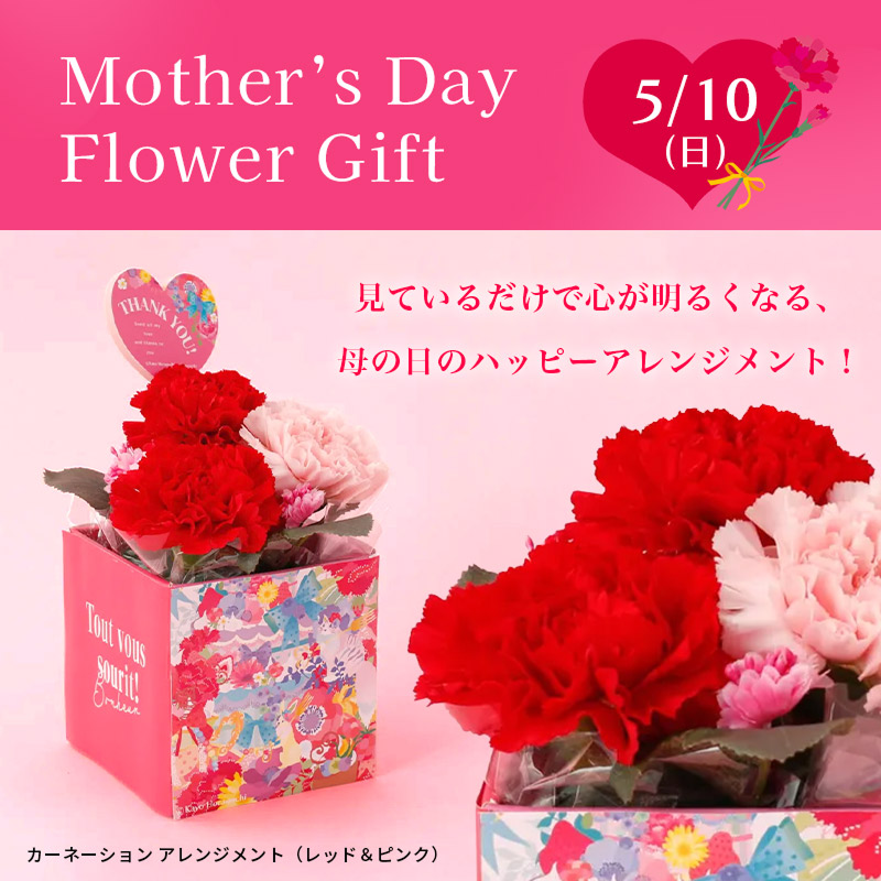 【母の日限定】カーネーションアレンジメントと スティックラスクのセット