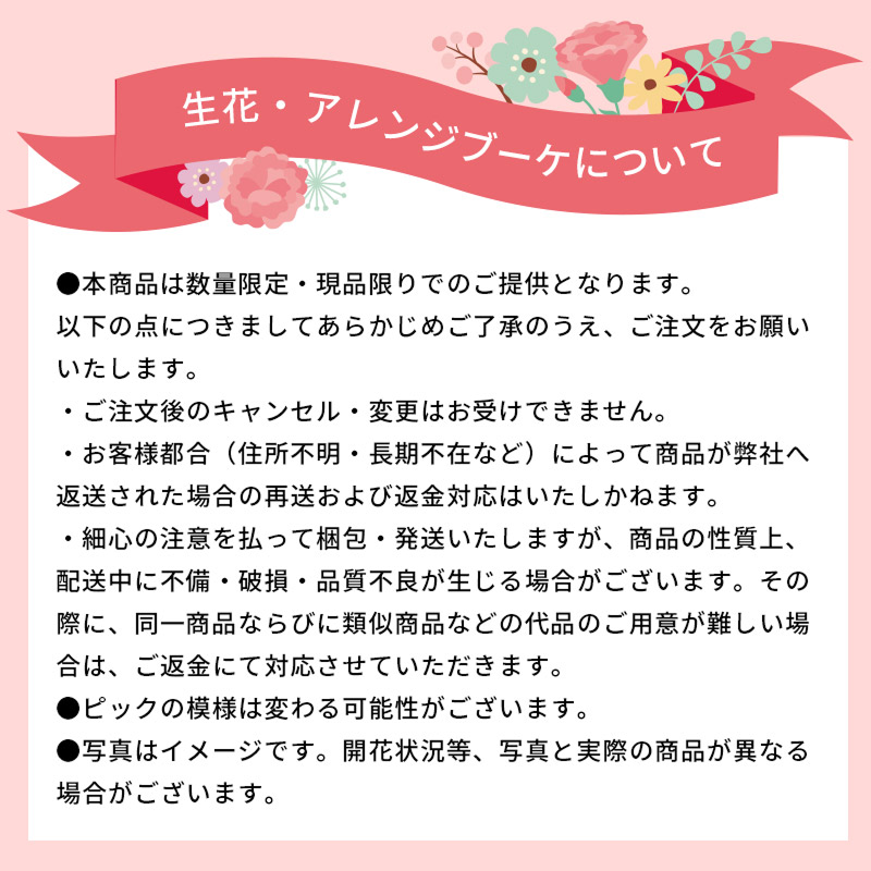 【母の日限定】カーネーションアレンジメントと スティックラスクのセット