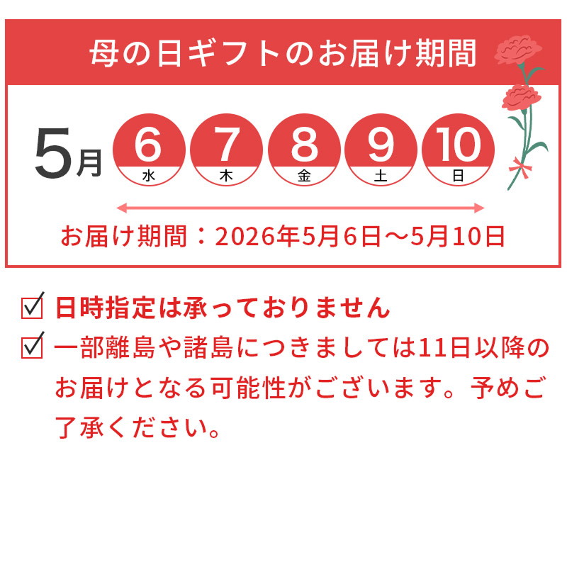 【母の日限定】カーネーションアレンジメントと選べるスイーツセット