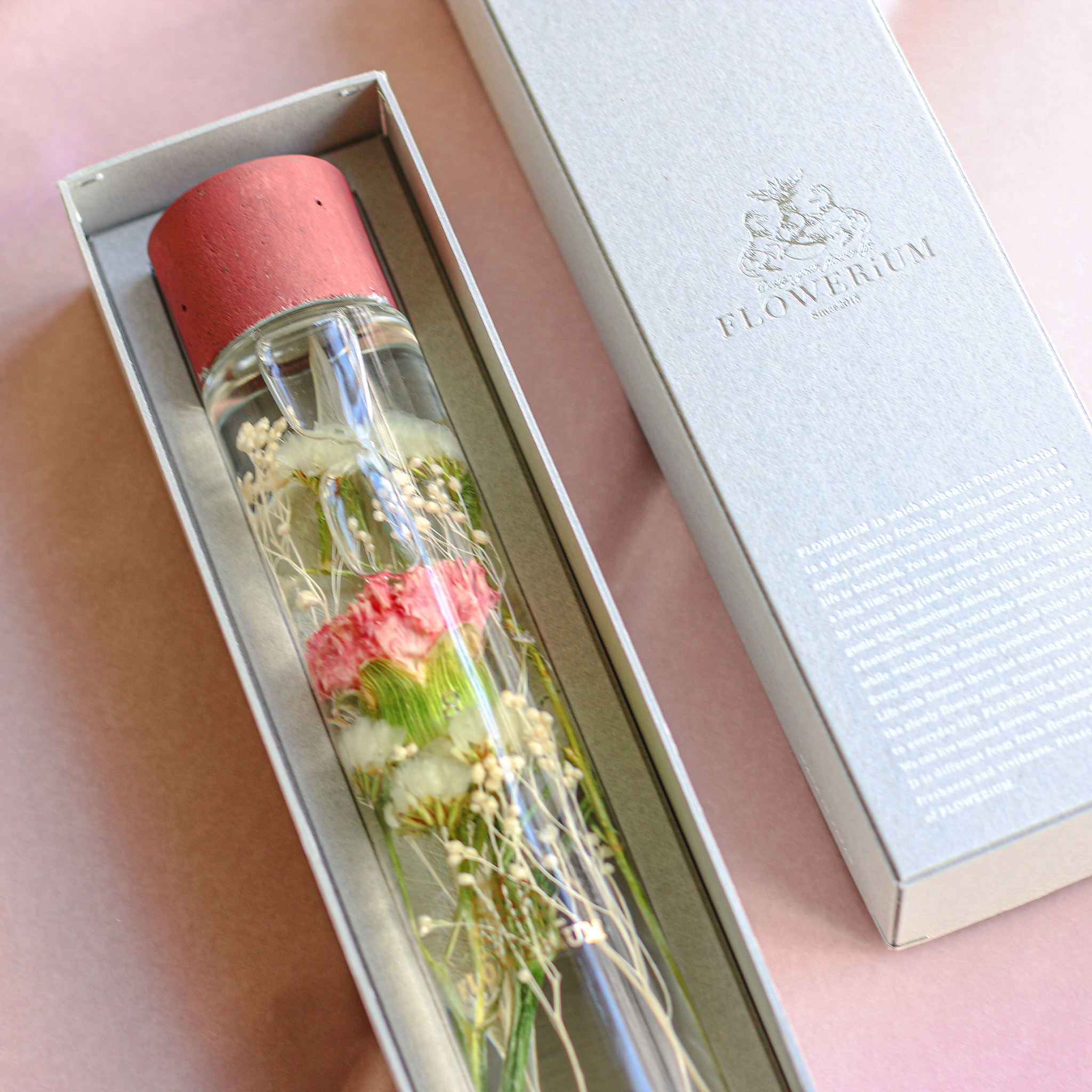 FLOWERiUM（フラワリウム）Carnation Birth