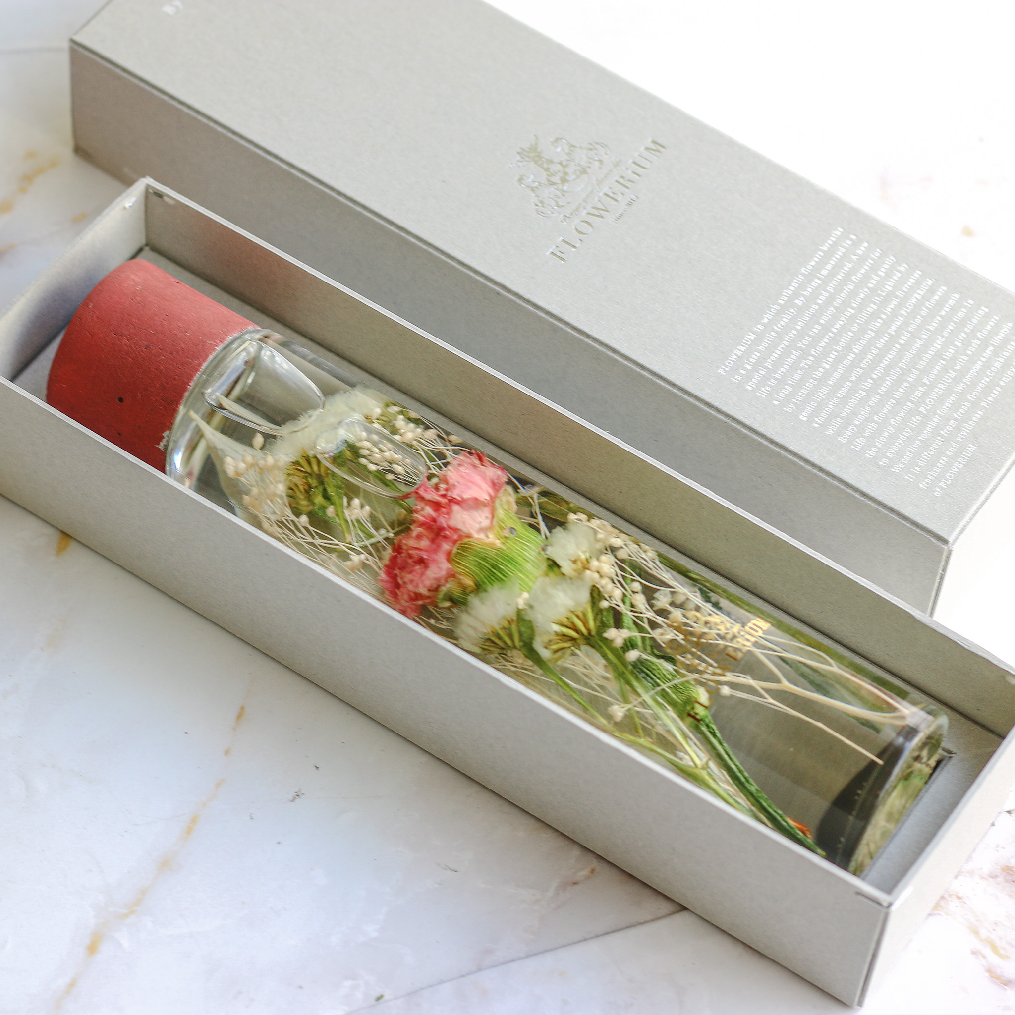FLOWERiUM（フラワリウム）Carnation Birth