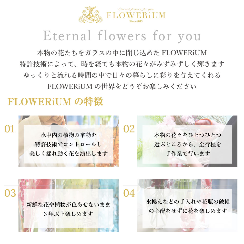 FLOWERiUM（フラワリウム）Carnation Birth