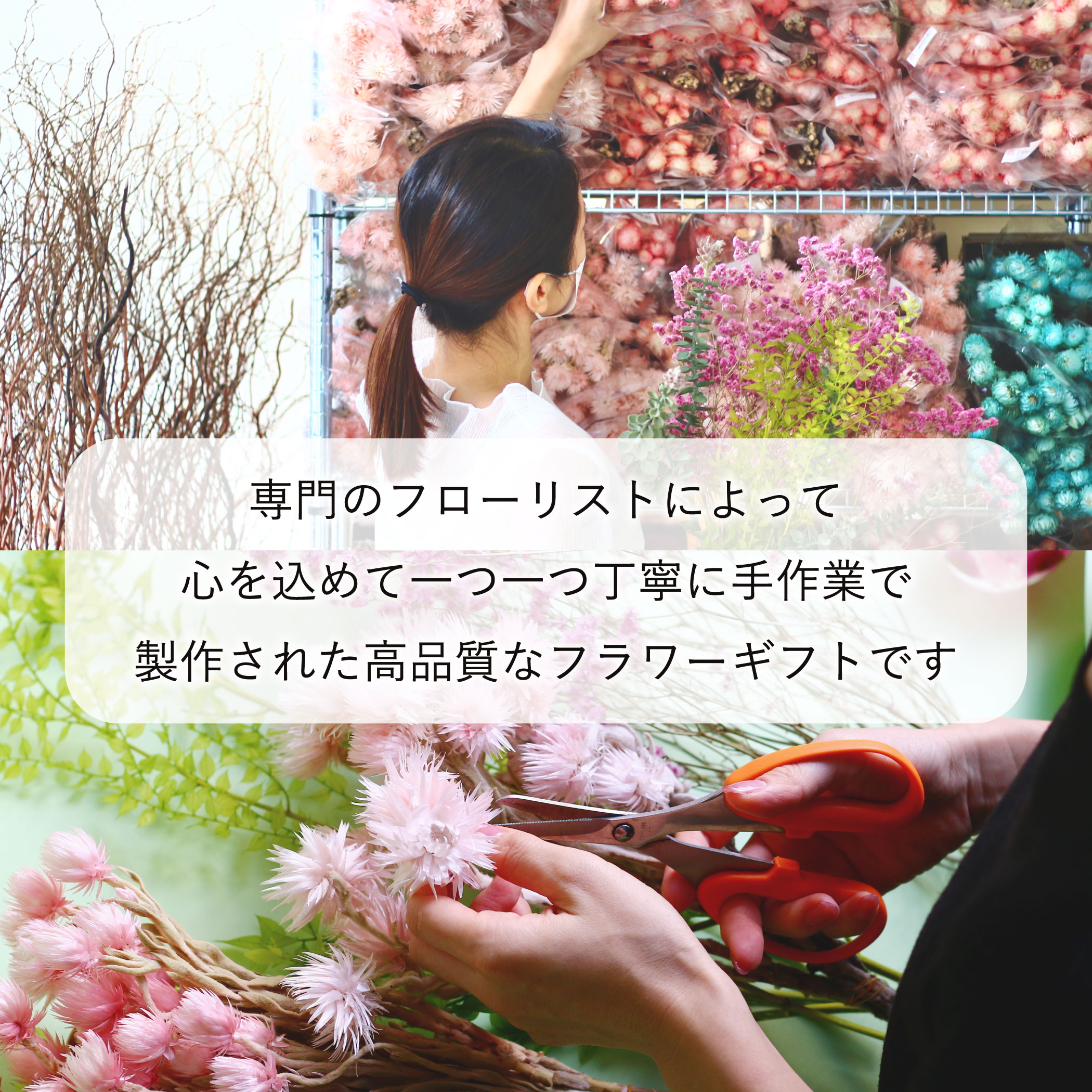 FLOWERiUM（フラワリウム）Carnation Birth