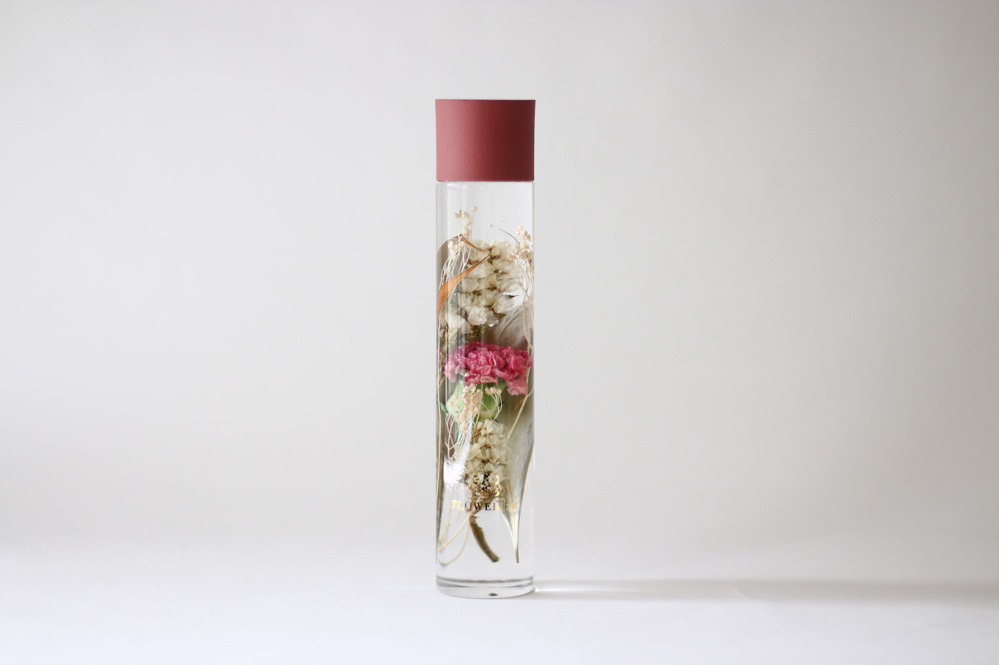 FLOWERiUM（フラワリウム）Carnation Birth