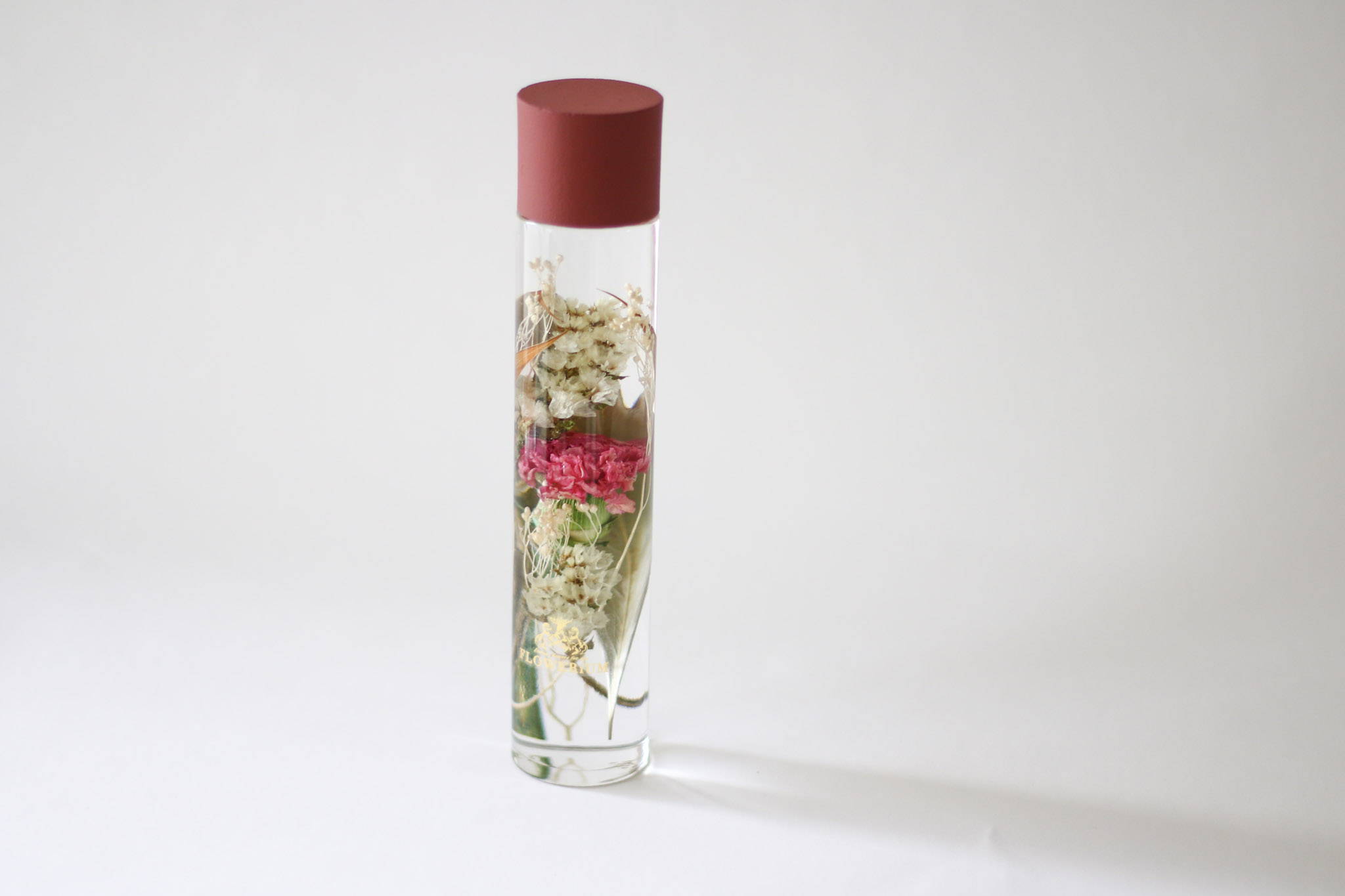 FLOWERiUM（フラワリウム）Carnation Birth