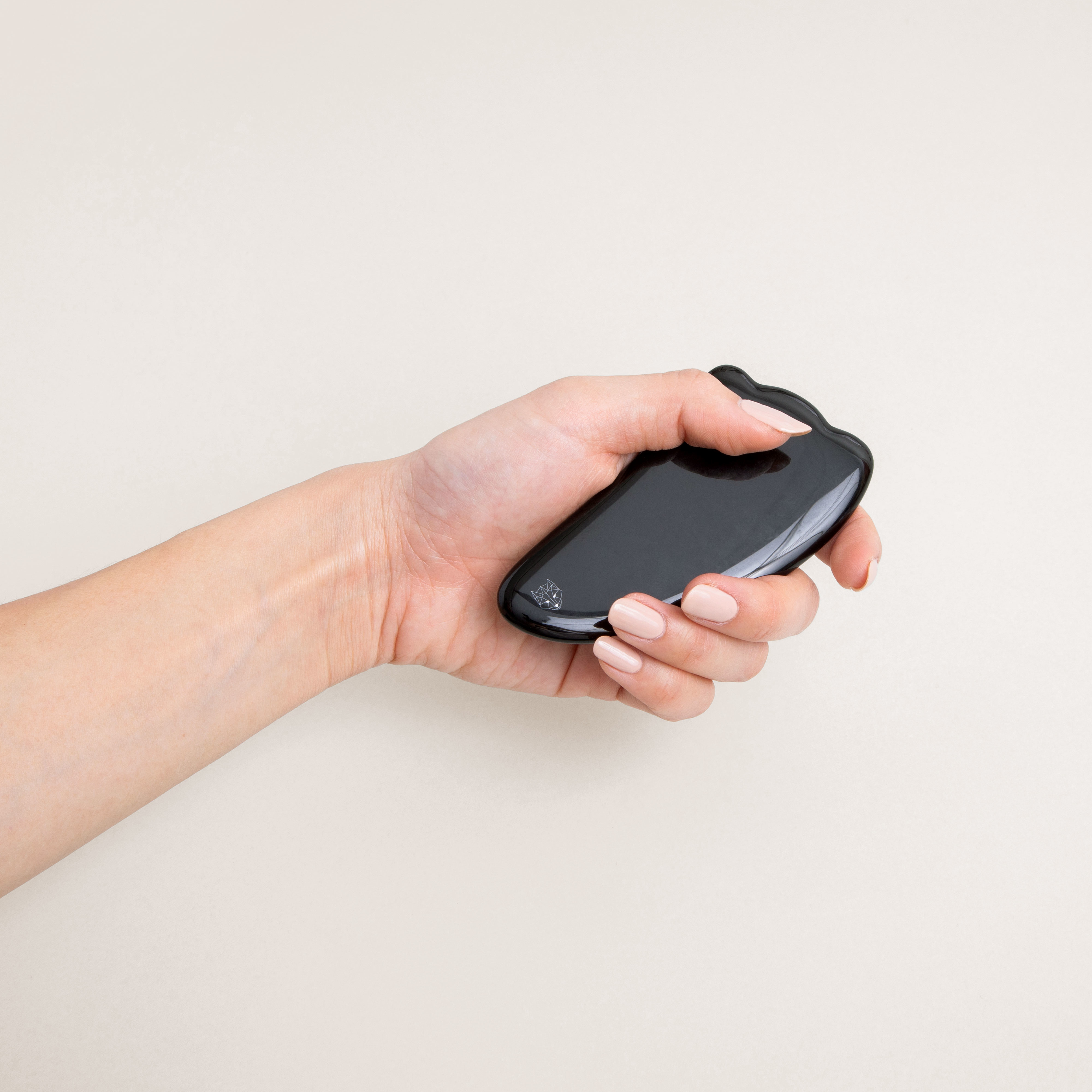 プレミアム FOX 黒カッサ （ホットストーン）