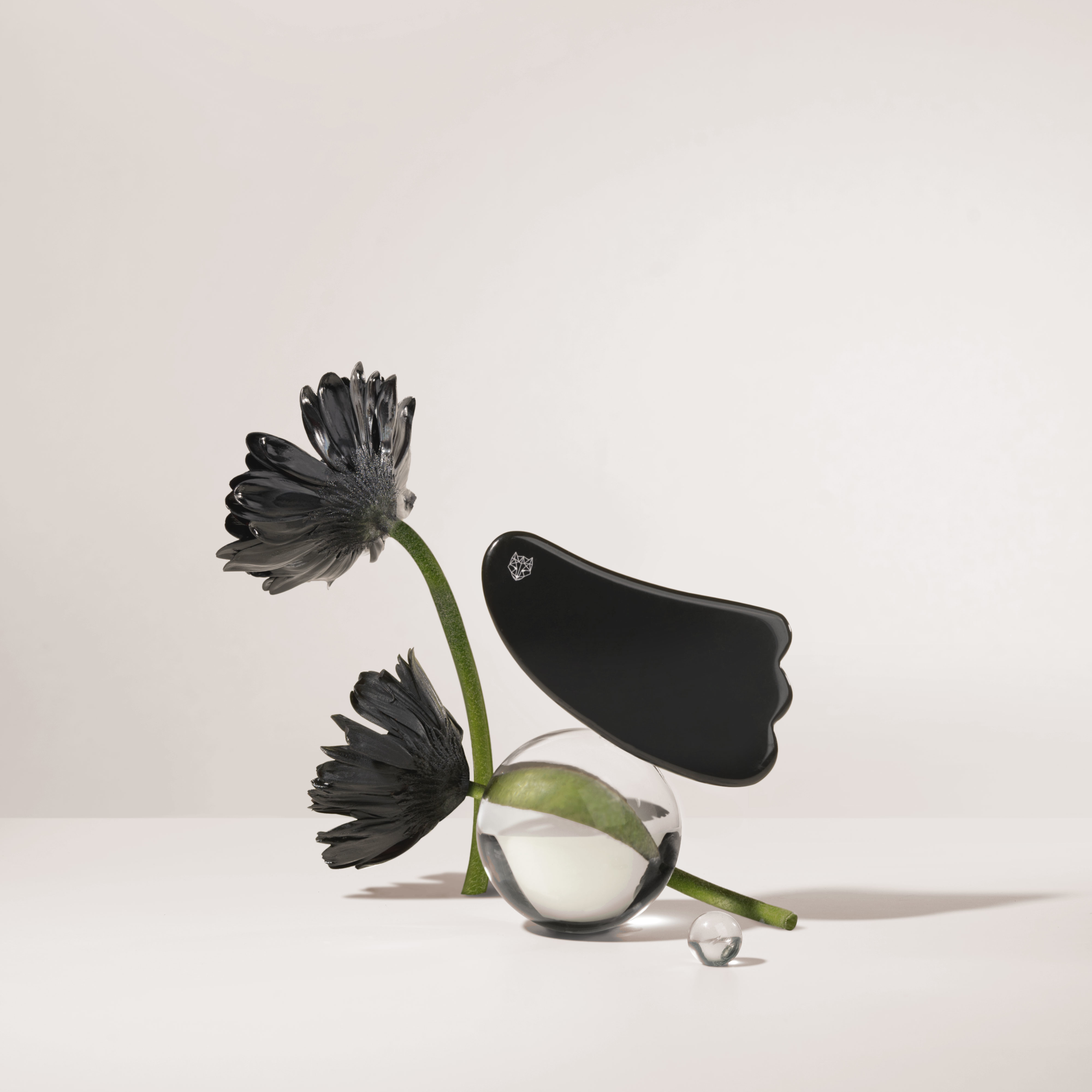 プレミアム FOX 黒カッサ （ホットストーン）