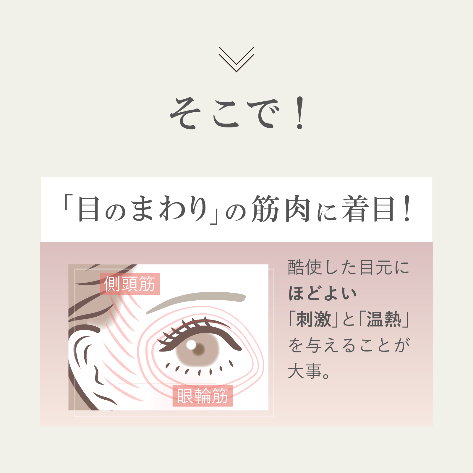 EMS HEAT EYE