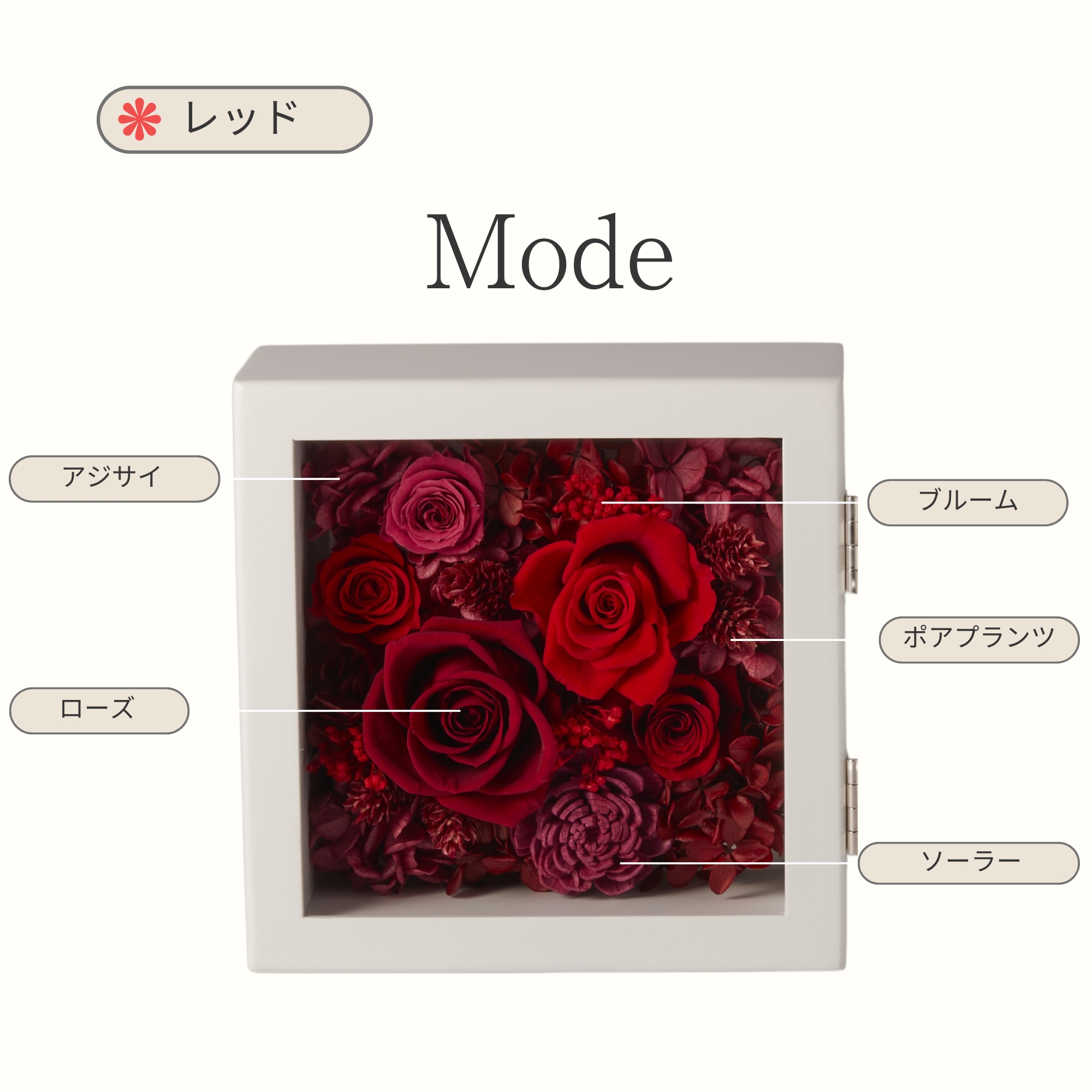 モード | アプラスのプレゼント・ギフト通販 | TANP（タンプ）