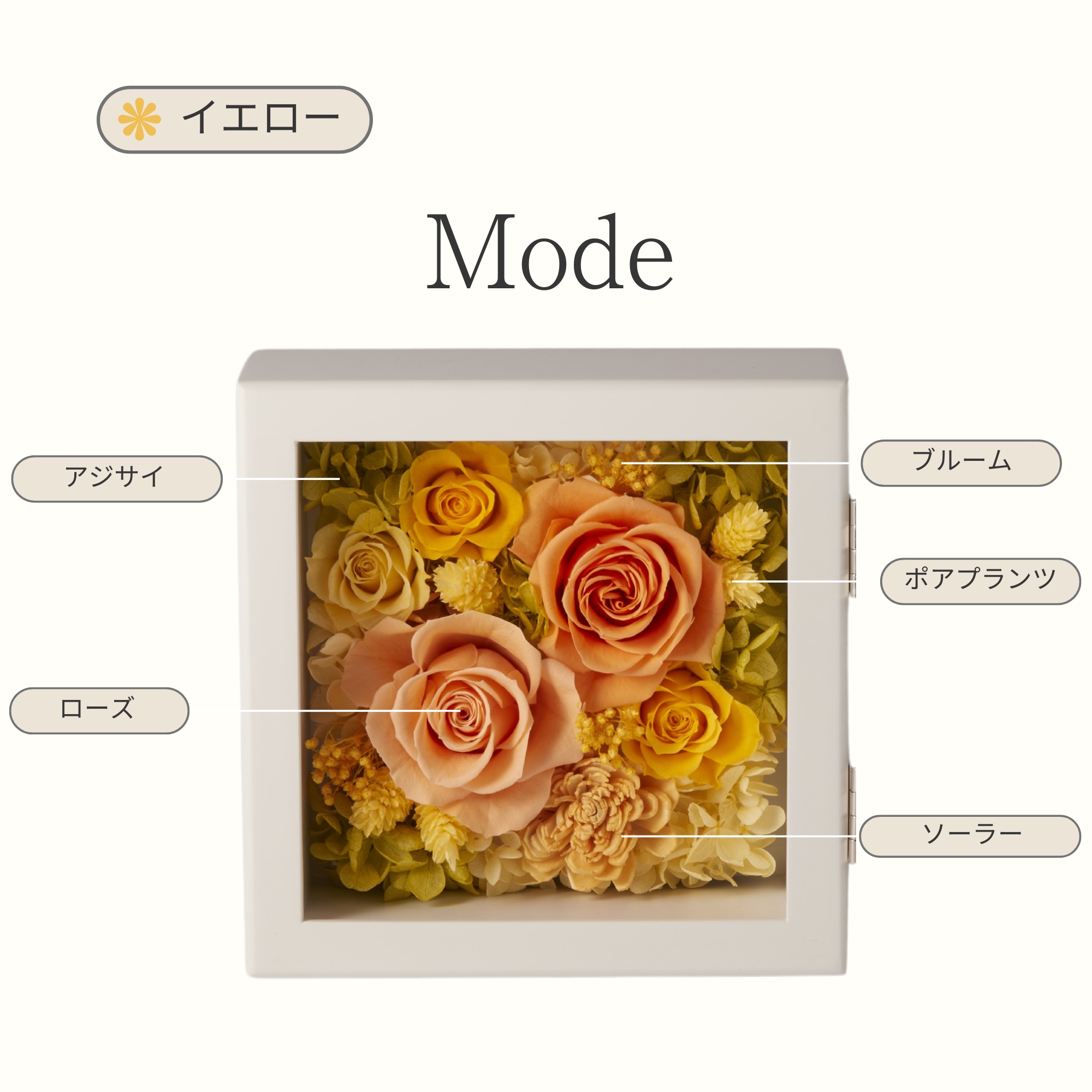フラワーフォトフレーム　モード