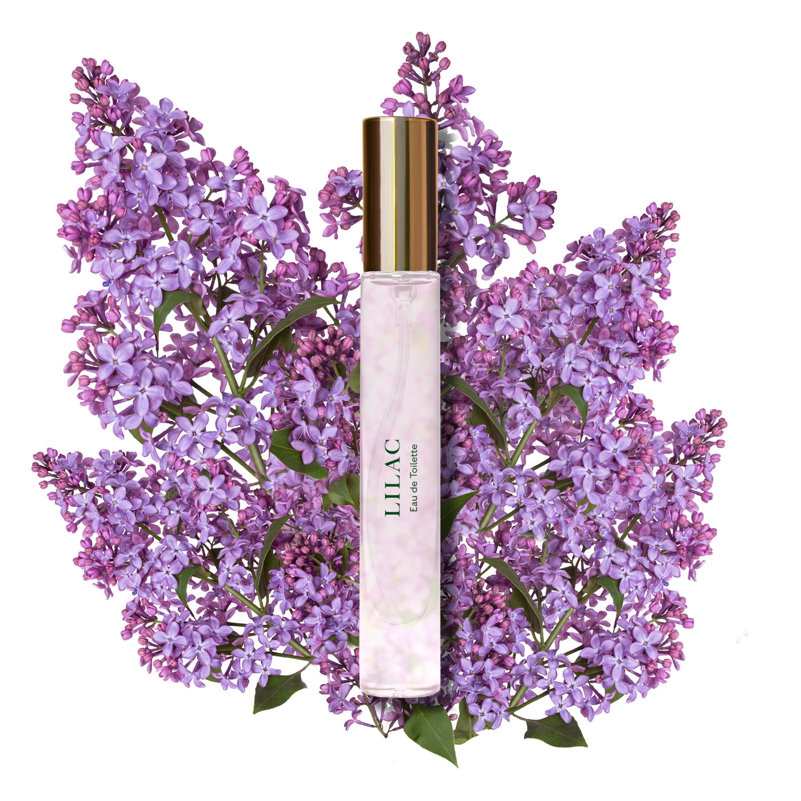 Caswell-Massey オードトワレ 7.5mL