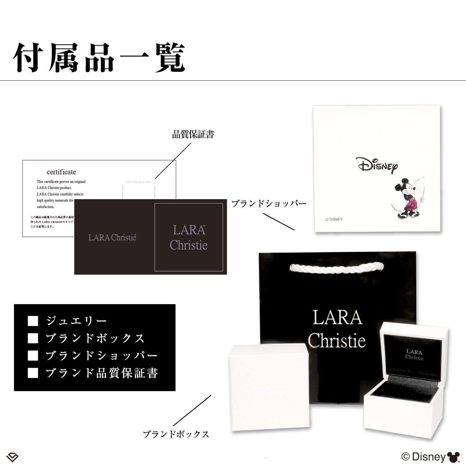 ネックレス ハワイアンジュエリー ディズニー レディース シルバー  コイン 「ミッキー」