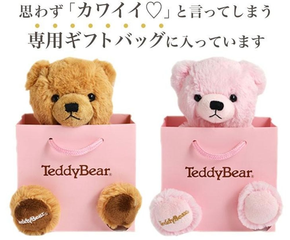 CZネックレス&テディベア