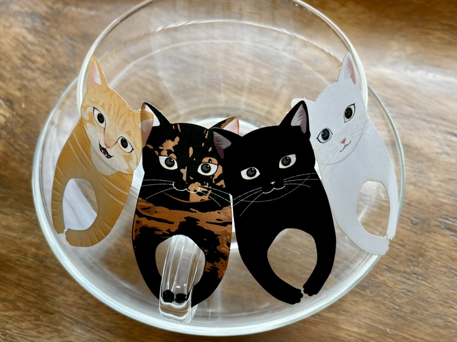 ひっかけ猫ちゃんと楽しむティータイム】 和猫 紅茶4種セット | OCEAN 
