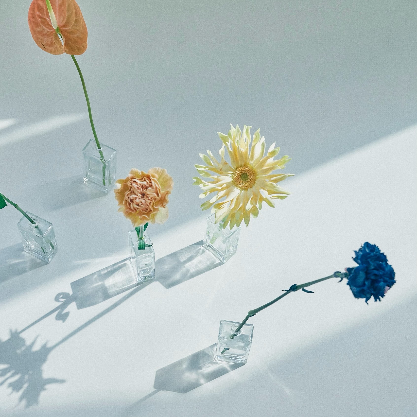 Gift Collection / body care〈relaxing〉