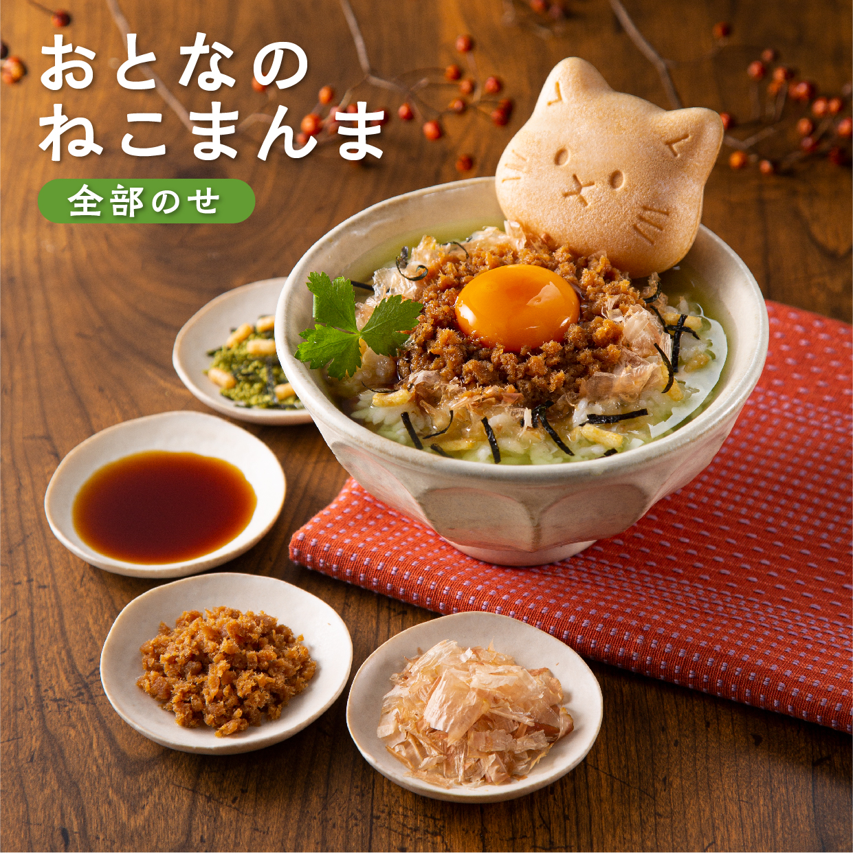 おとなのねこまんま